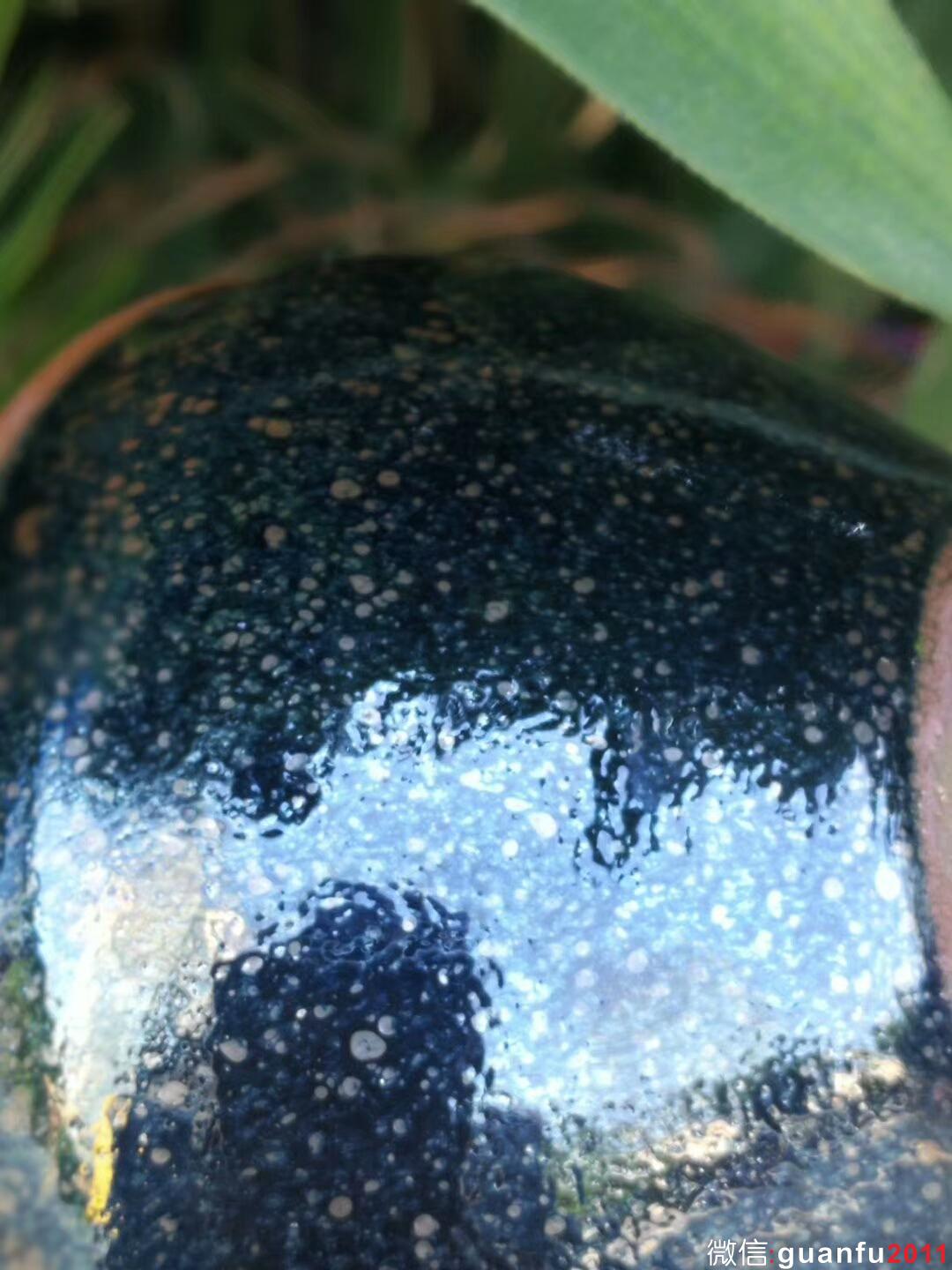 楊敏老師“淡杯”：口徑9*5