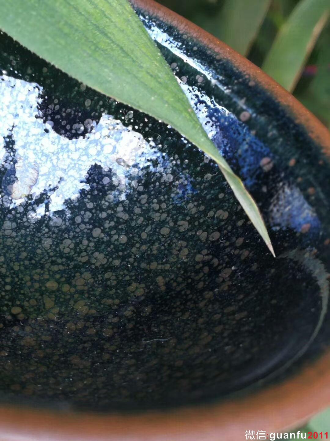 楊敏老師“淡杯”：口徑9*5