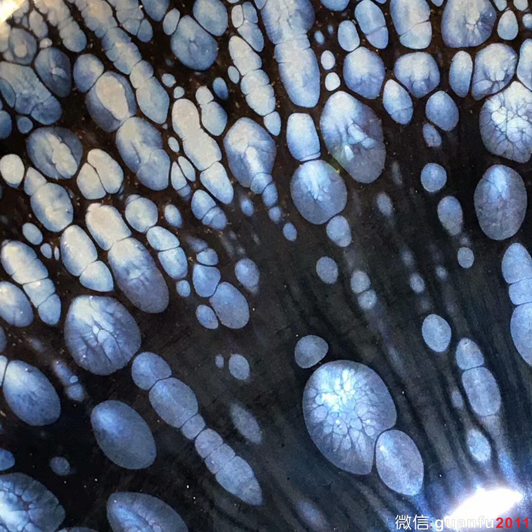 mmexport1517041205556