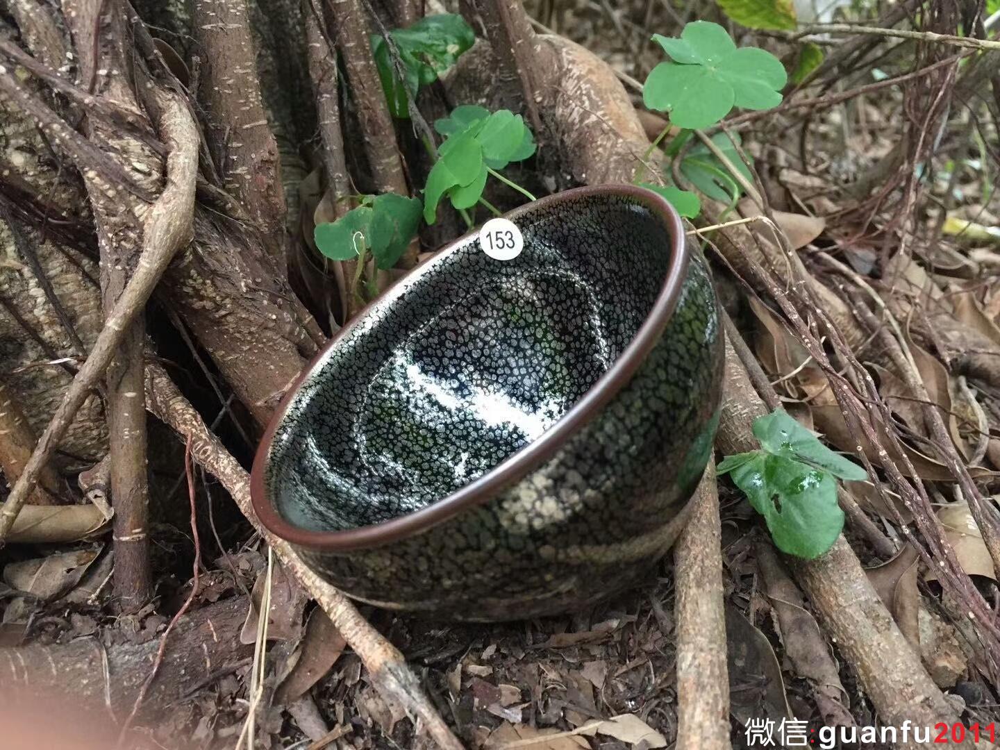 mmexport1517821656418