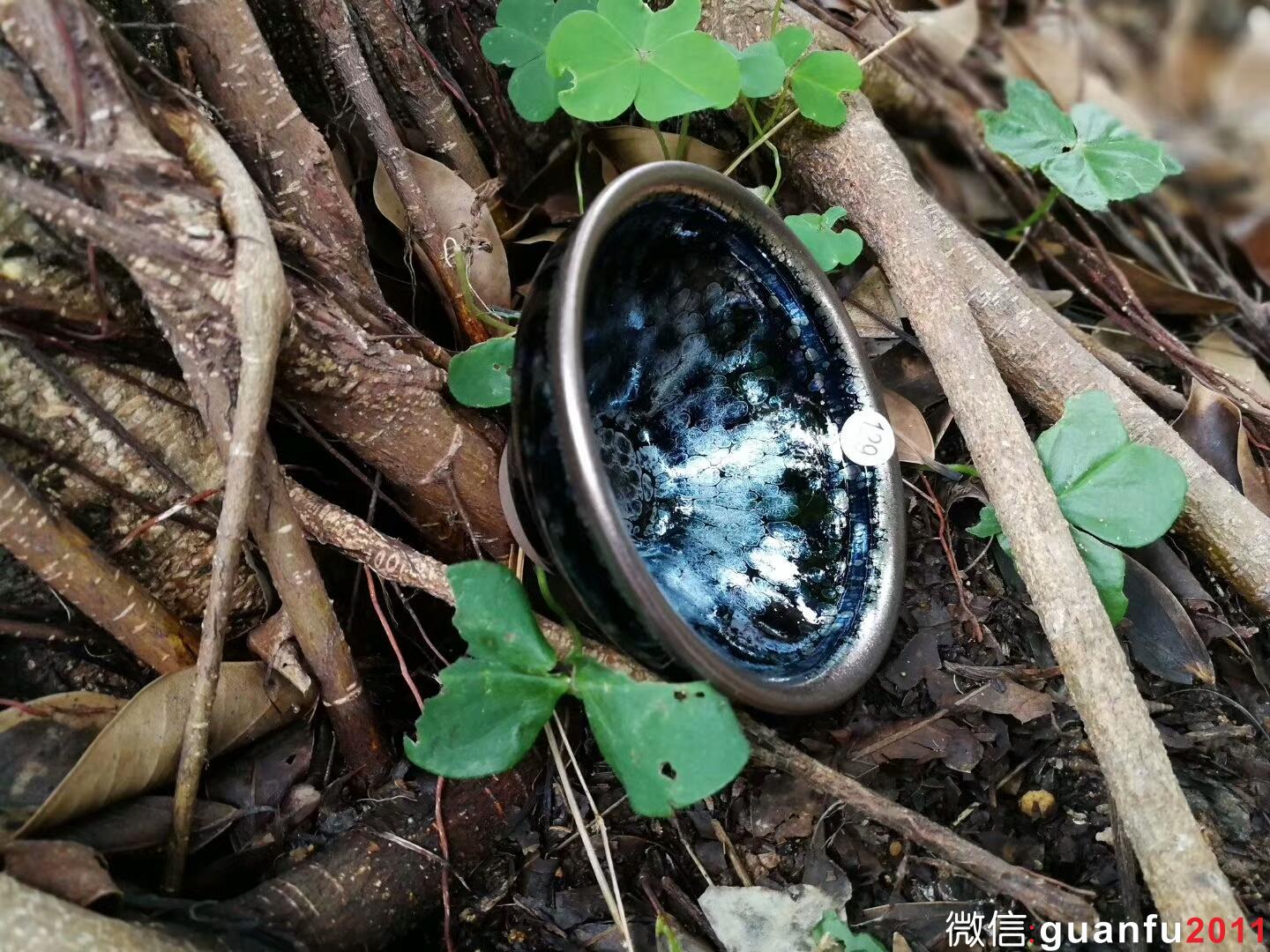 mmexport1517822082598