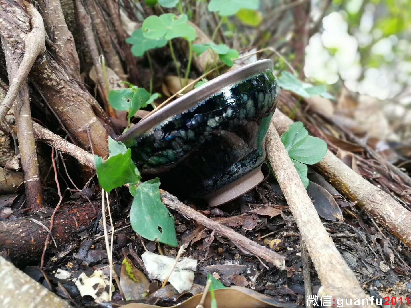 mmexport1517822086118