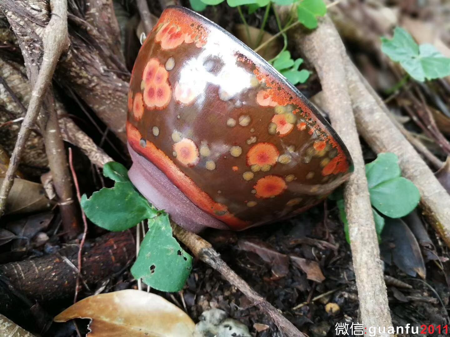 mmexport1517822229605