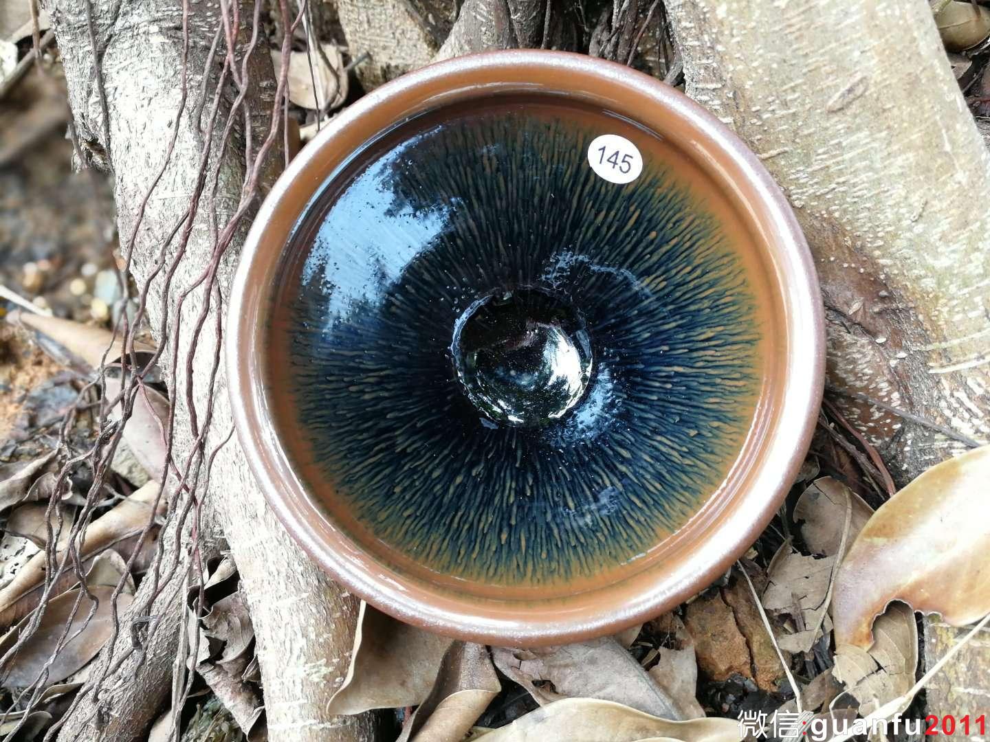 mmexport1517822560819