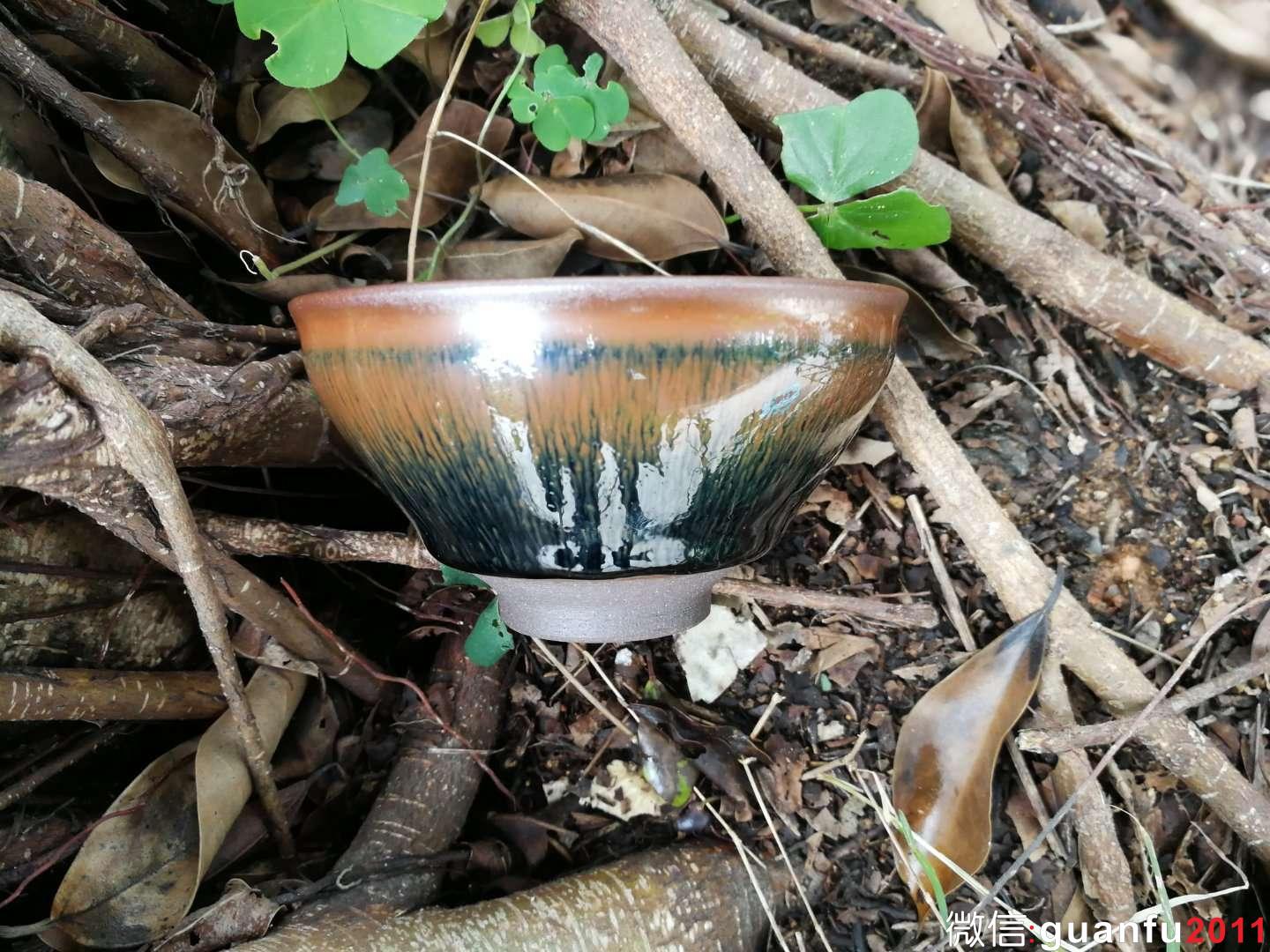 mmexport1517822563240