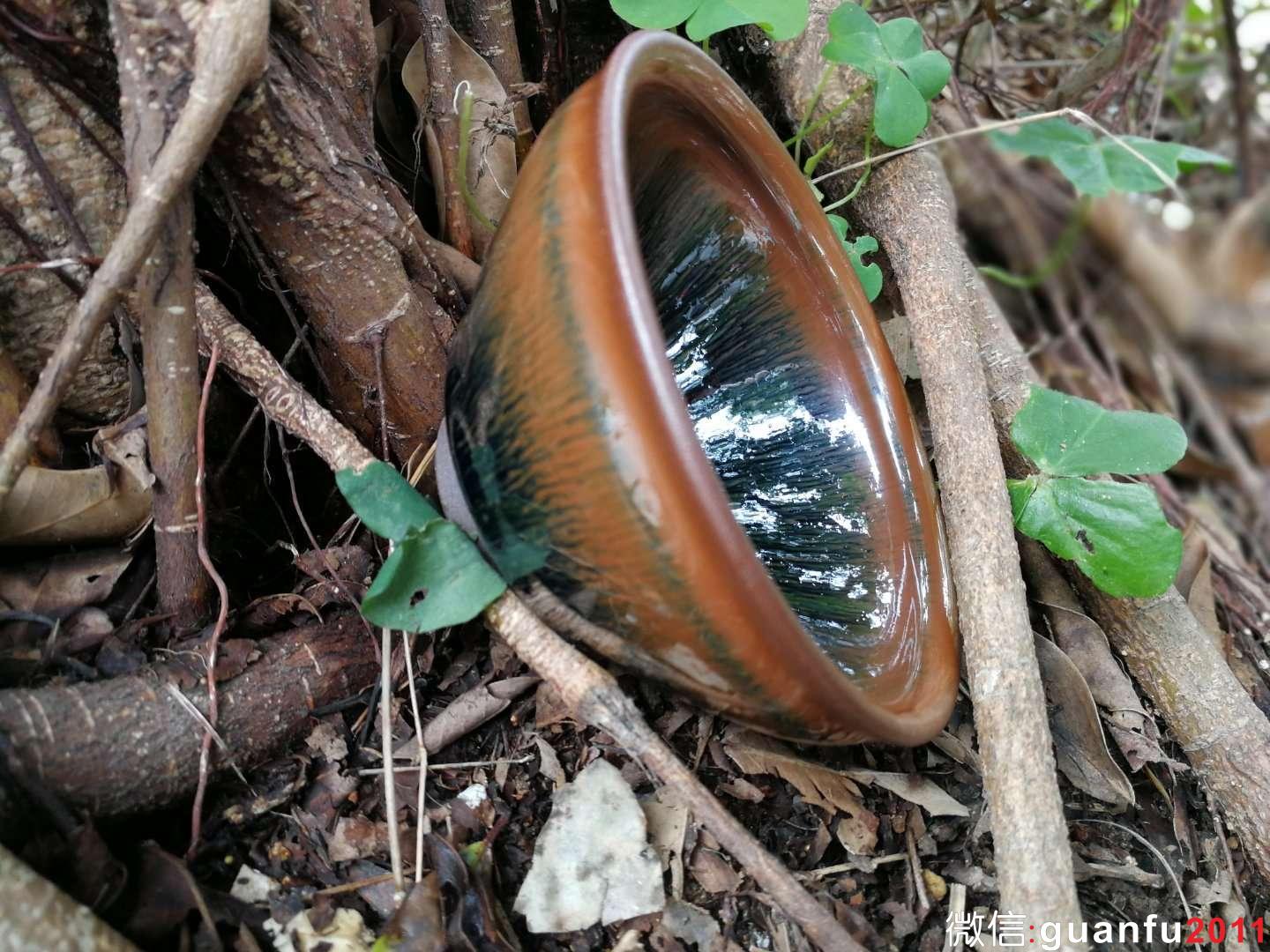 mmexport1517822564982