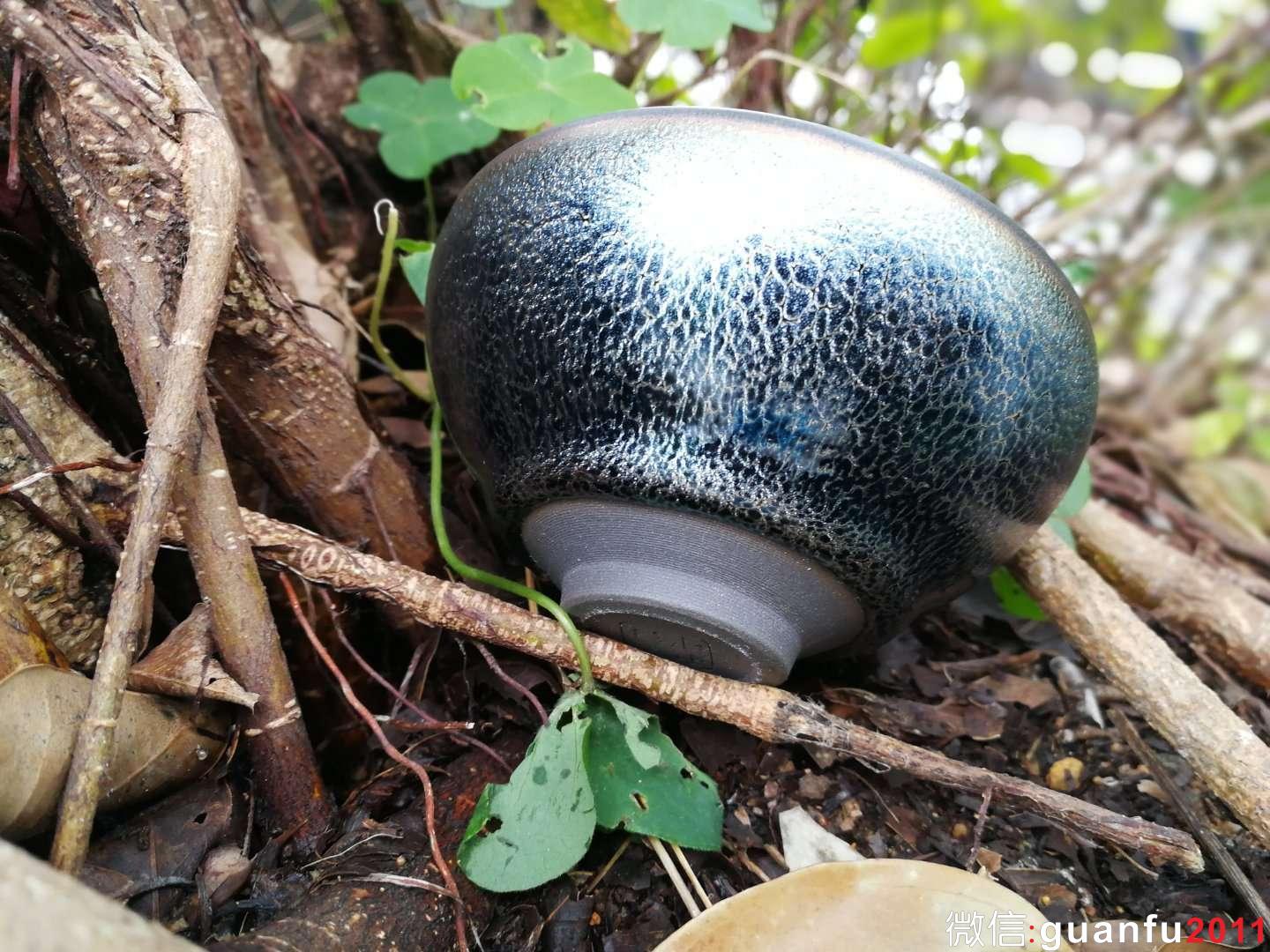 mmexport1517822633857