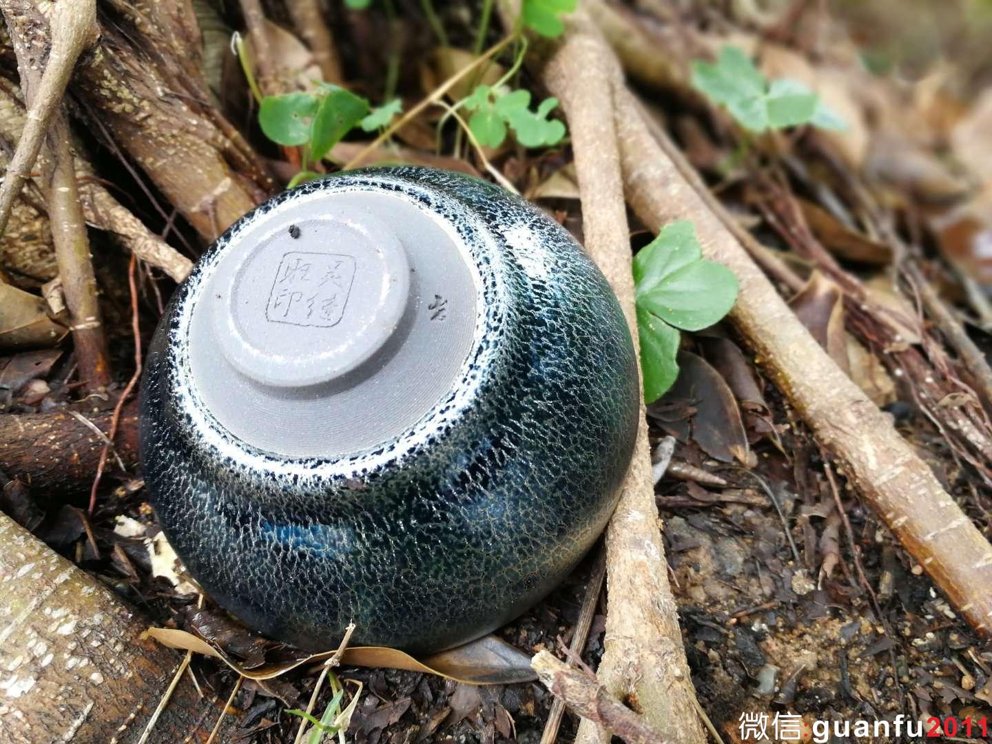 mmexport1517822638812