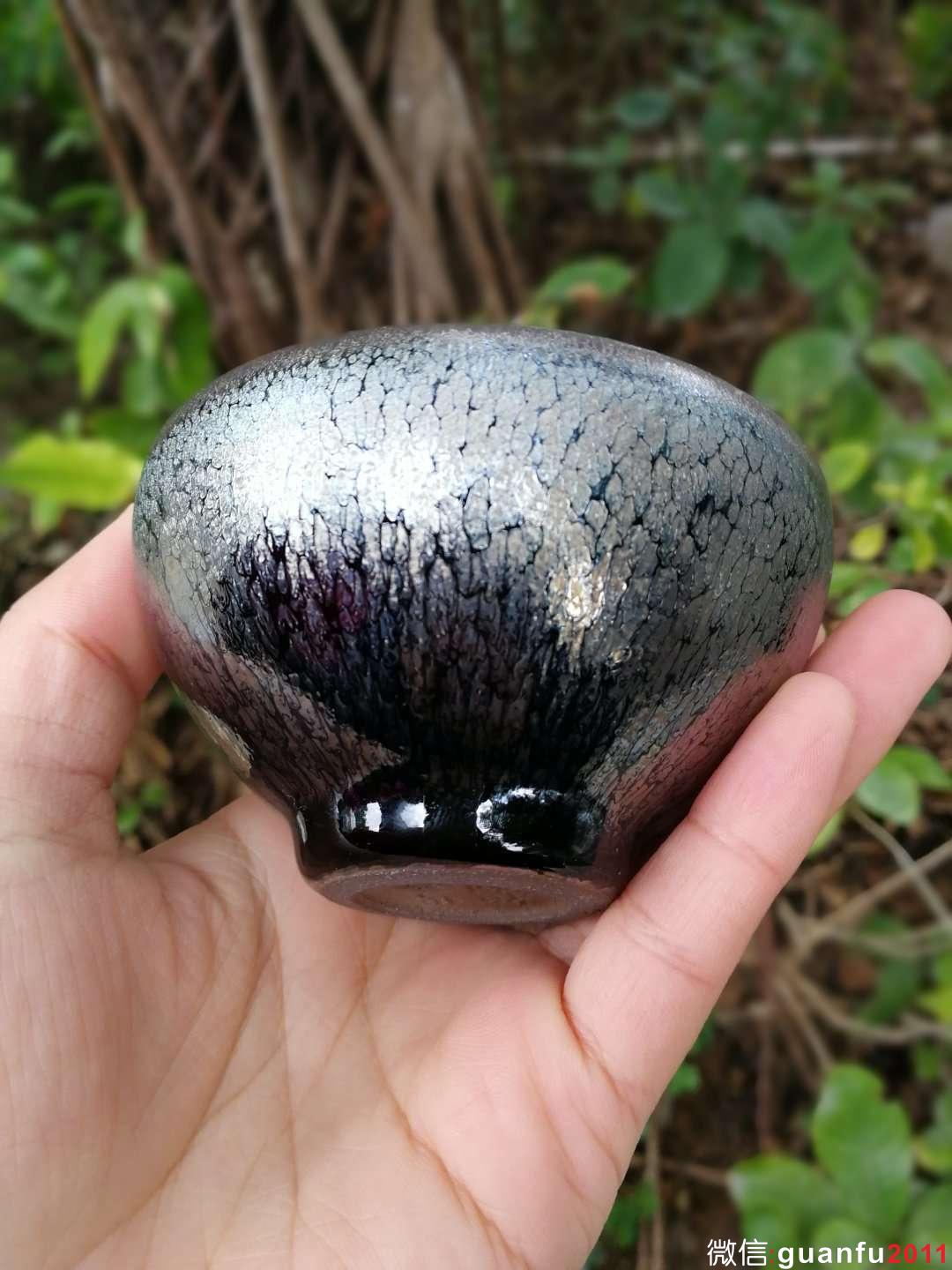 mmexport1517822719907