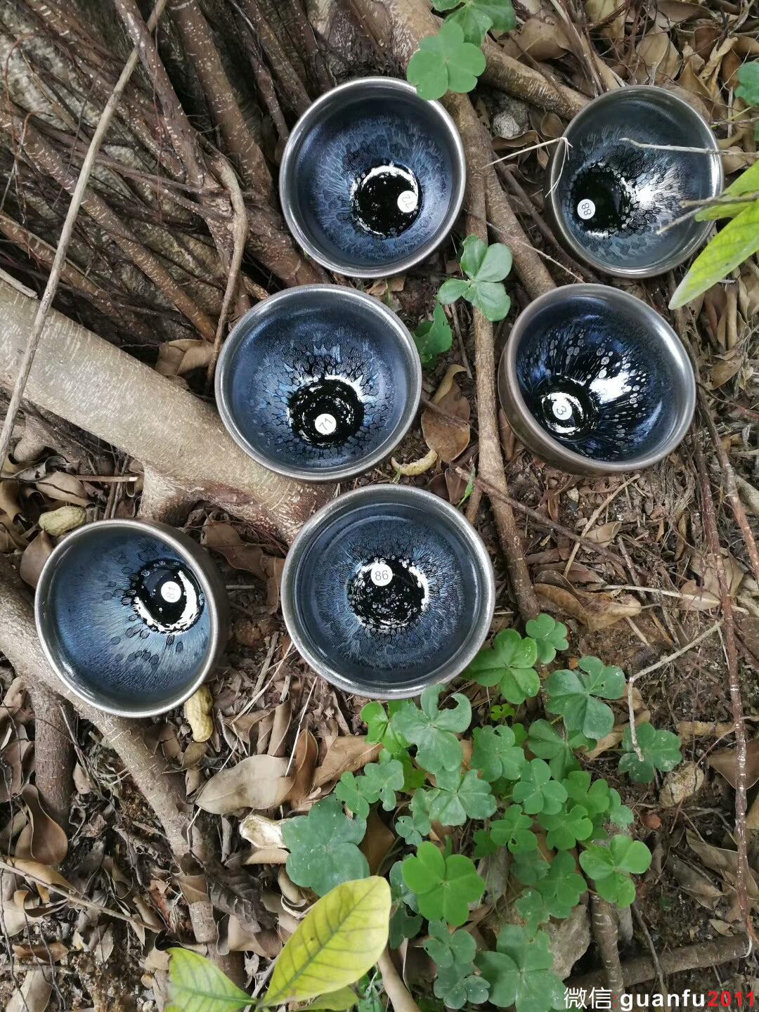 mmexport1517996455630