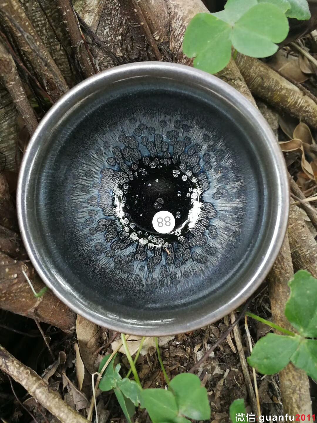 mmexport1517996464288