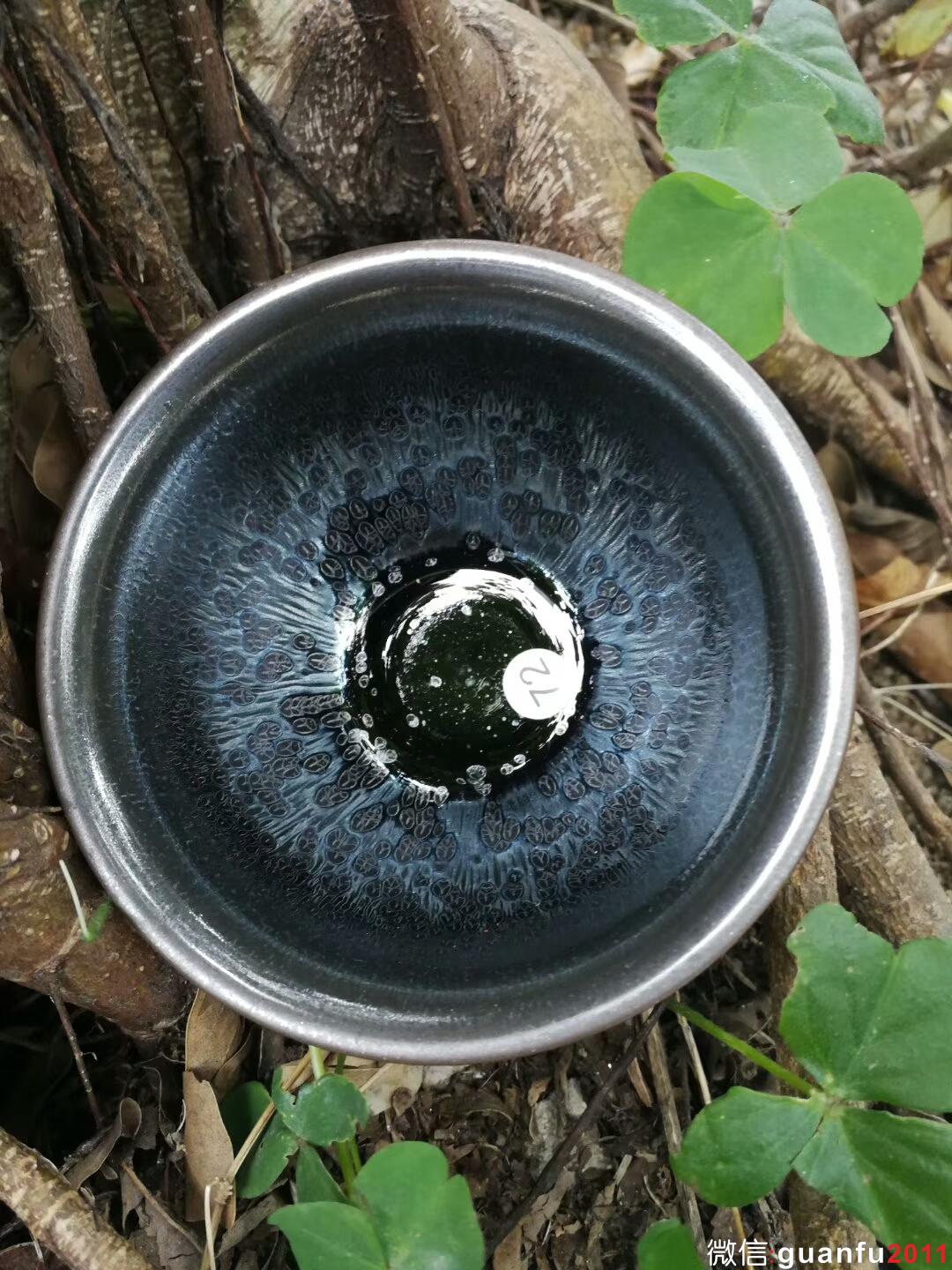 mmexport1517996472417