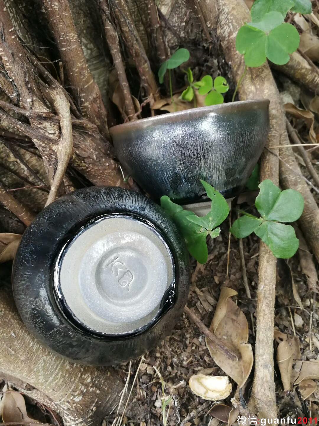 mmexport1517996479873