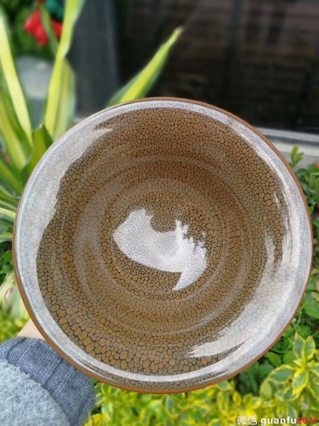 mmexport1517997646053