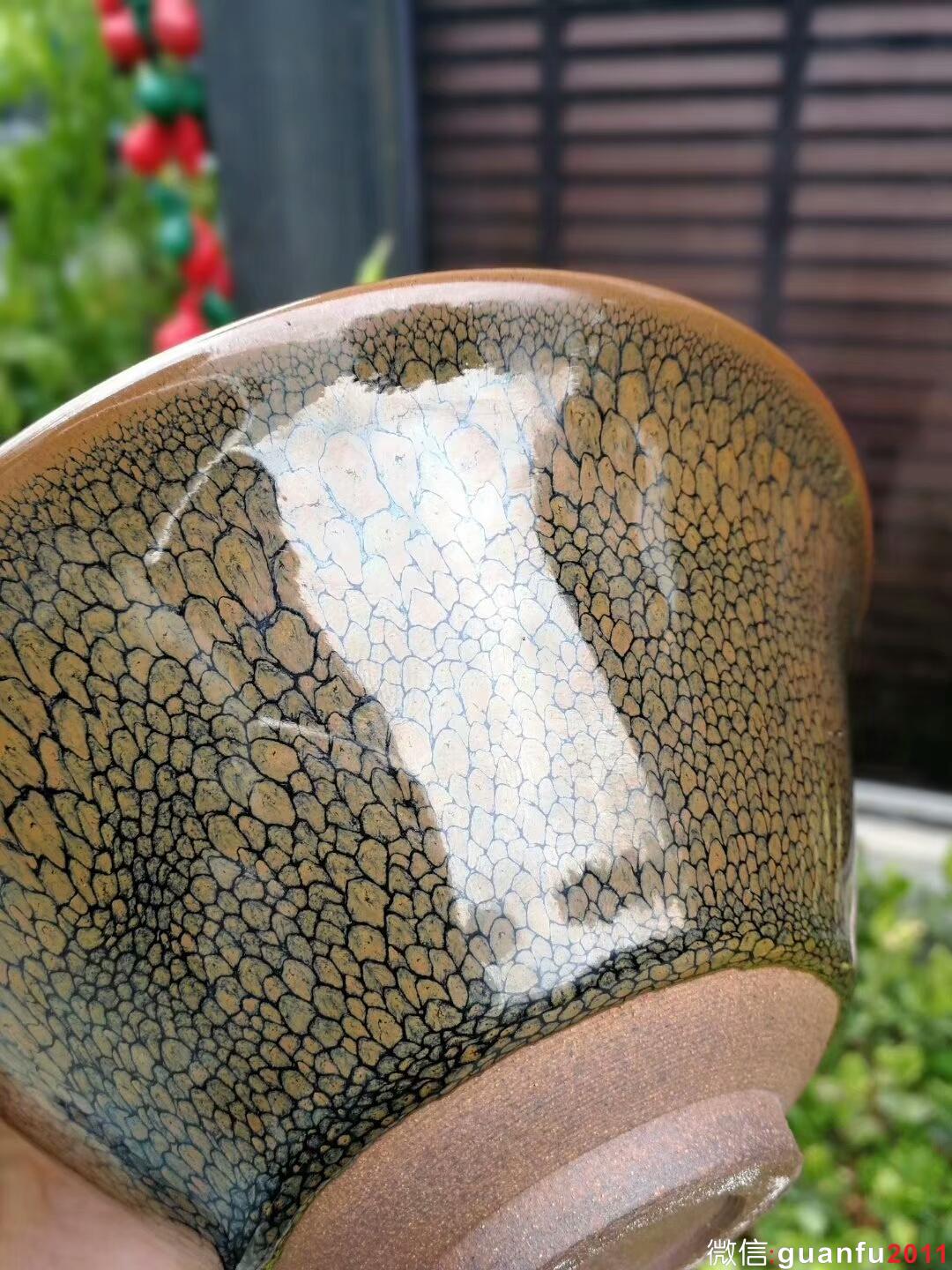 mmexport1517997659608