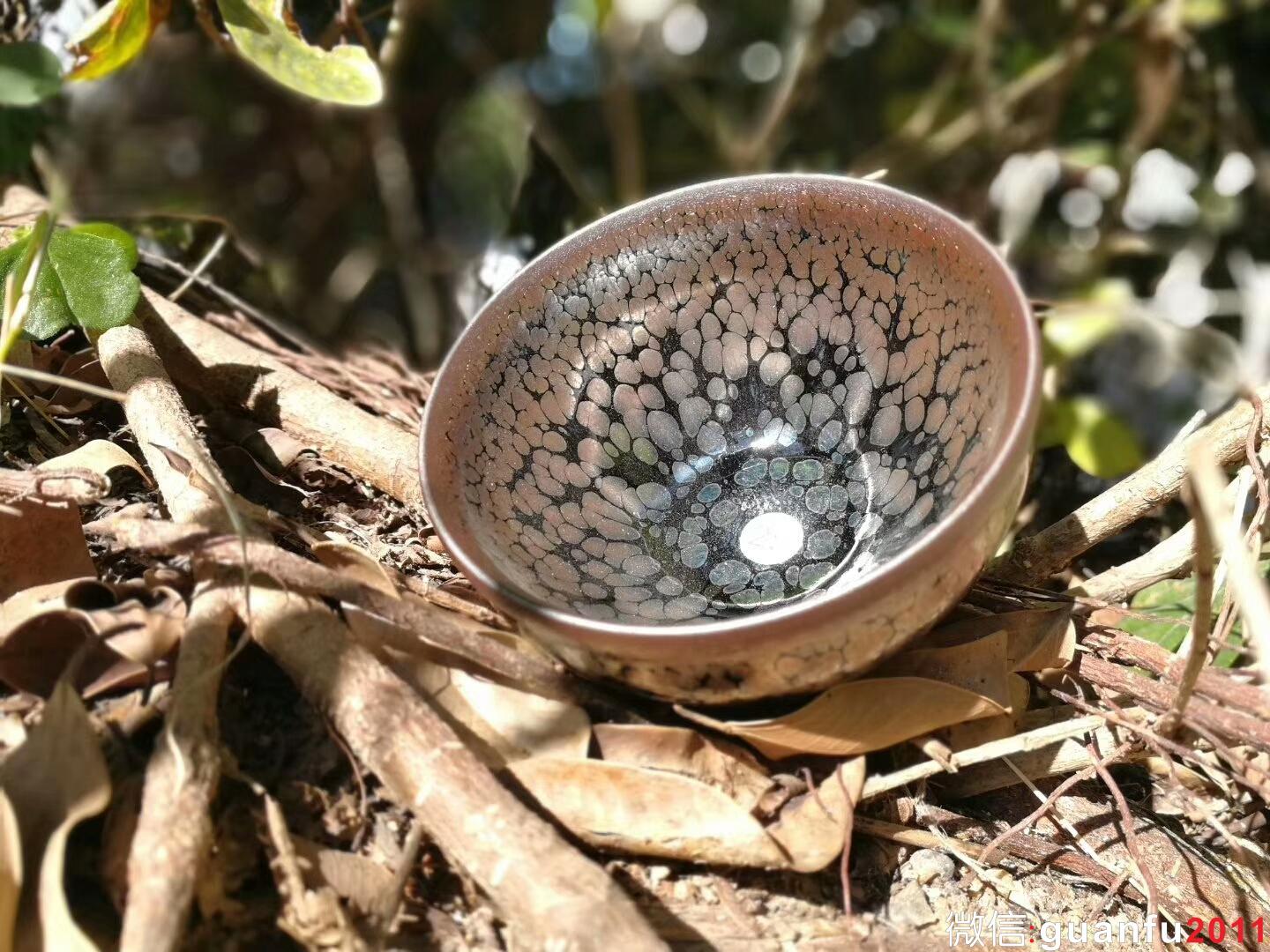 mmexport1517998188420