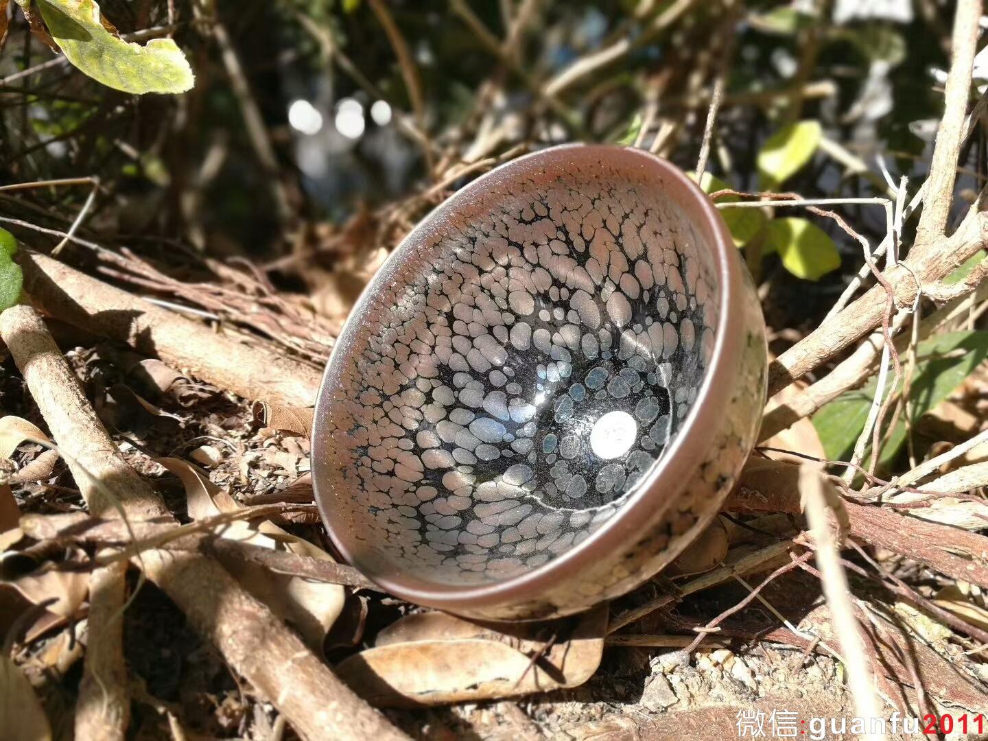 mmexport1517998193163