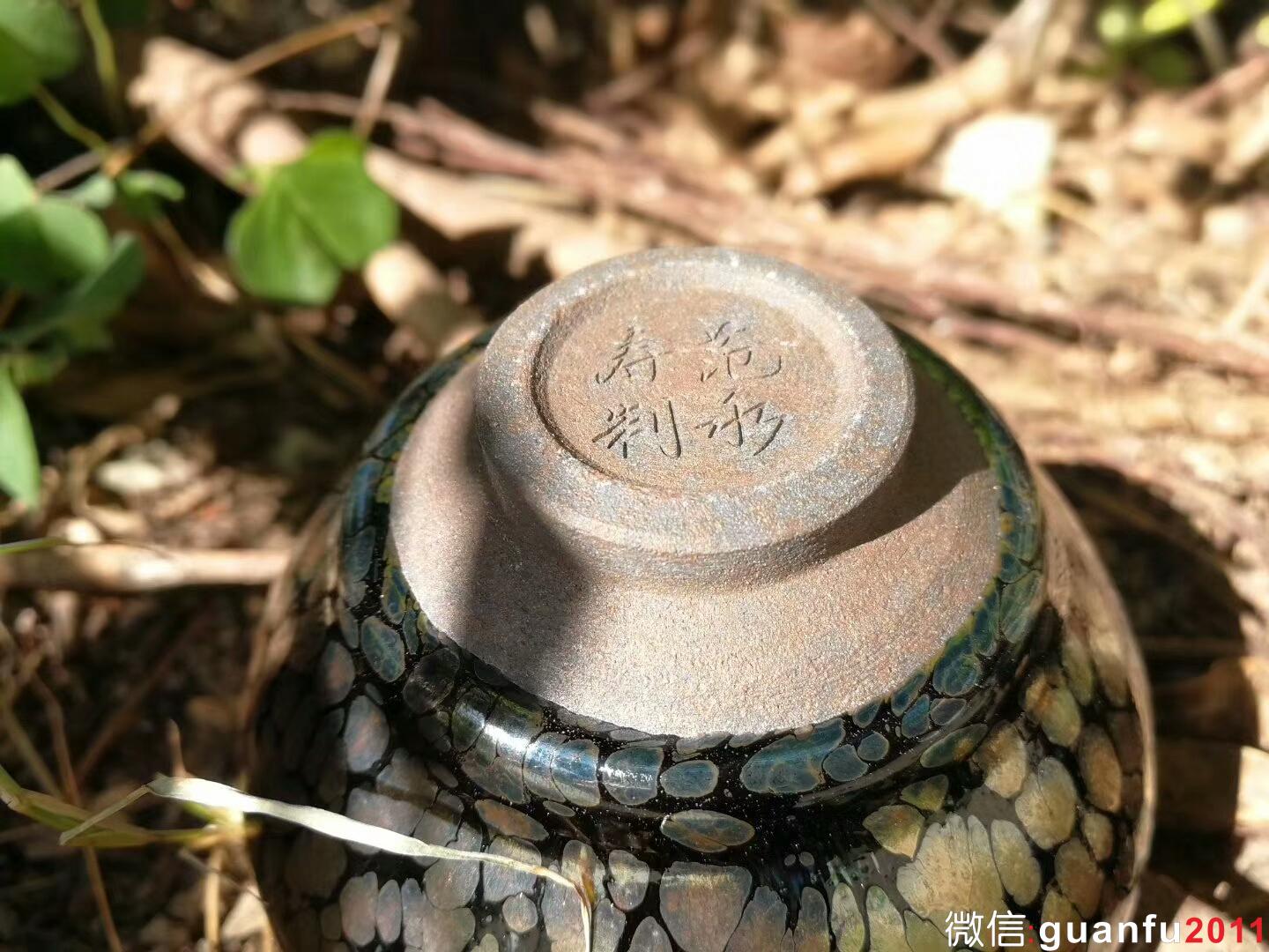 mmexport1517998198131