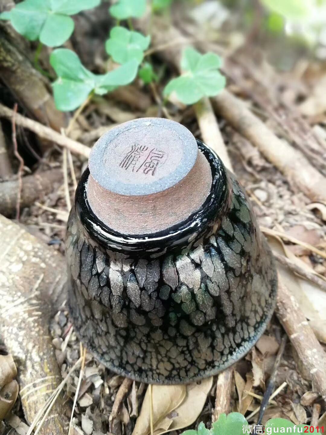 mmexport1517999354916