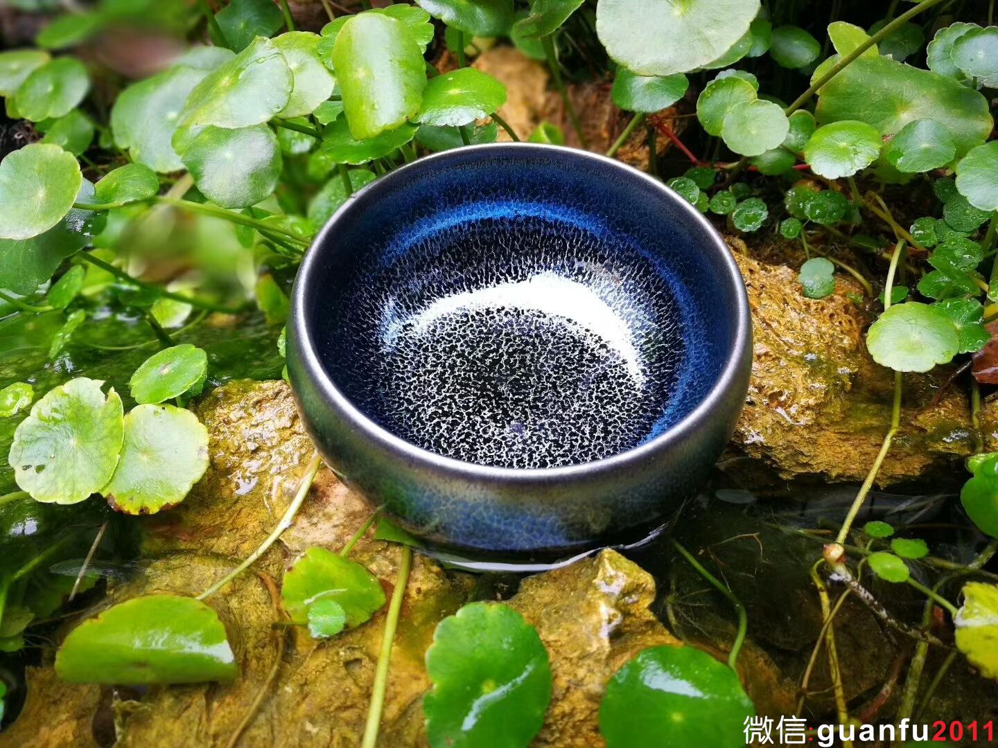 mmexport1517999573286