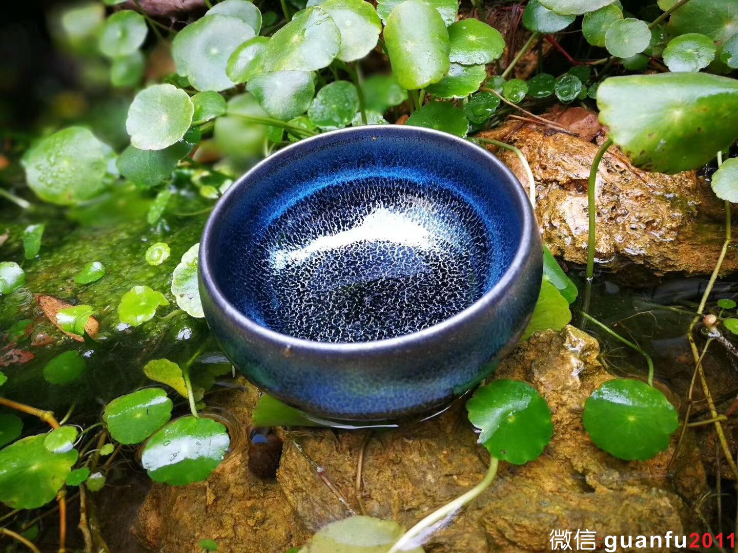 mmexport1517999576681