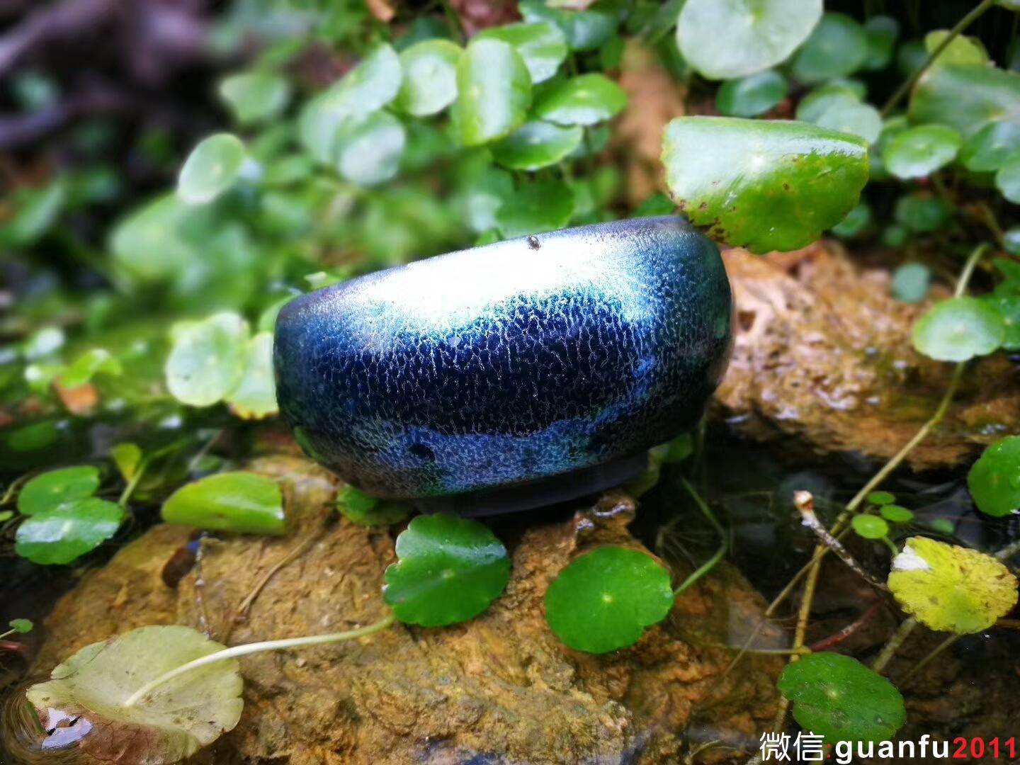 mmexport1517999578932