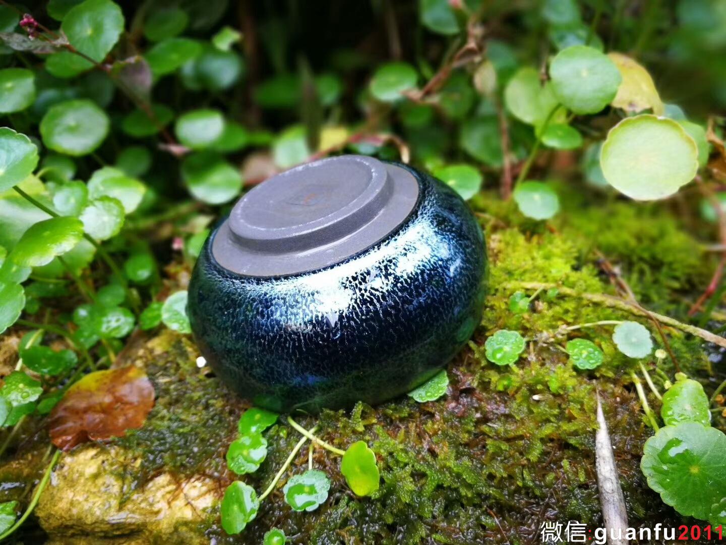 mmexport1517999584702