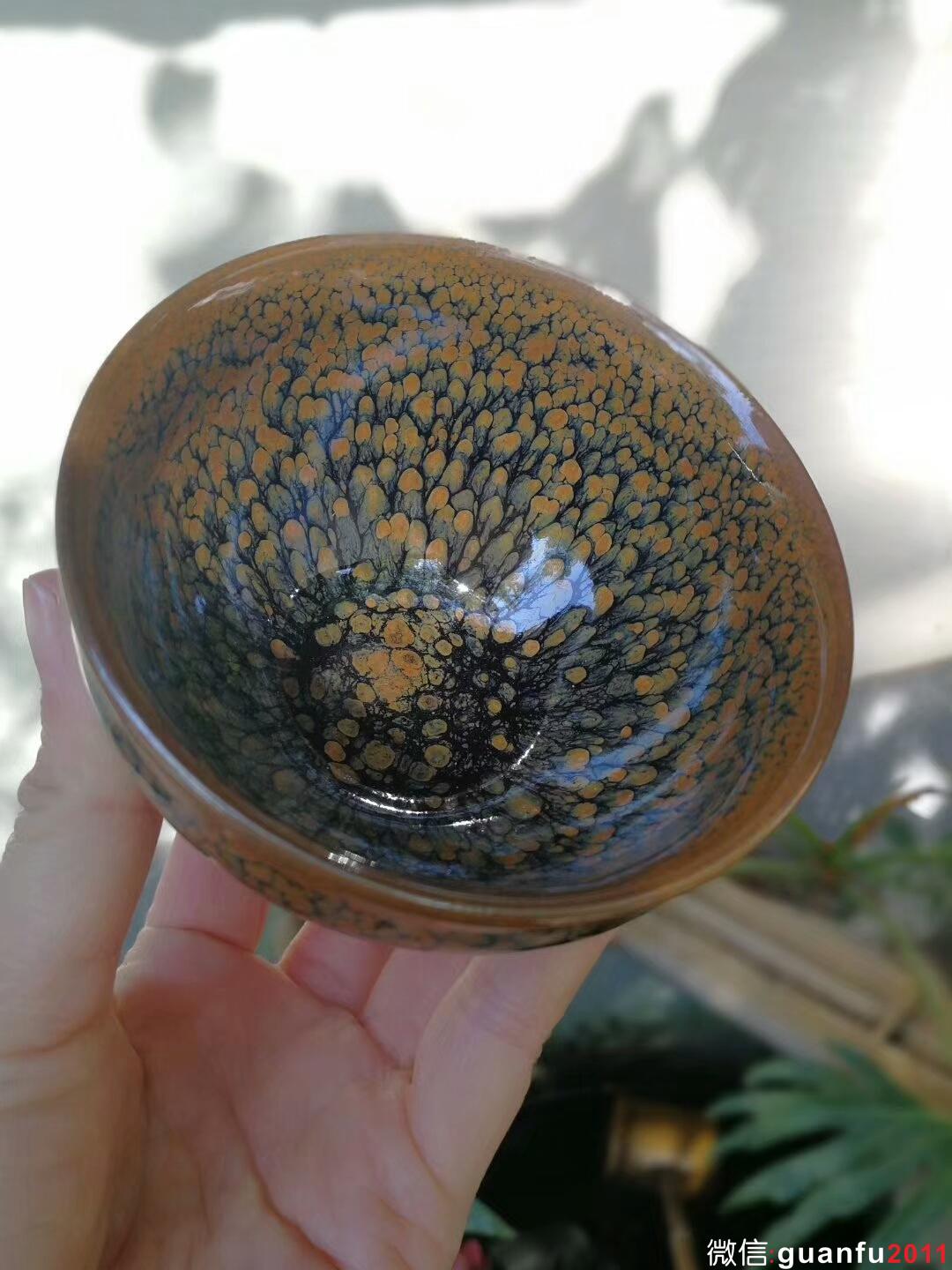 mmexport1518005312625