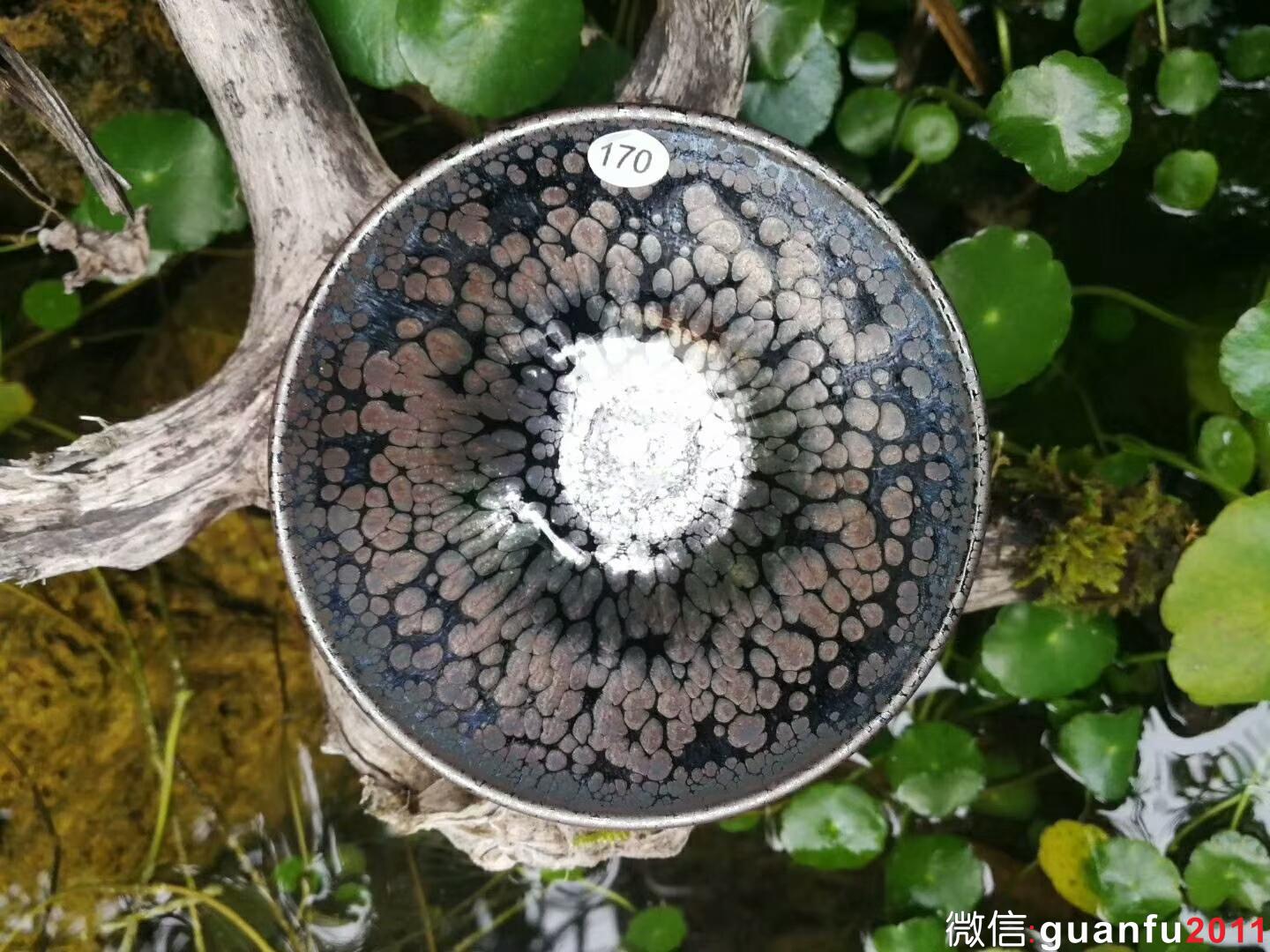 mmexport1518953616745