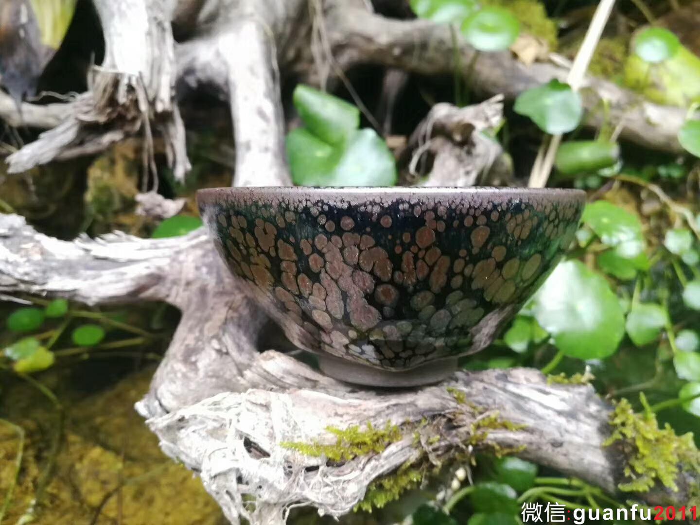 mmexport1518953621241