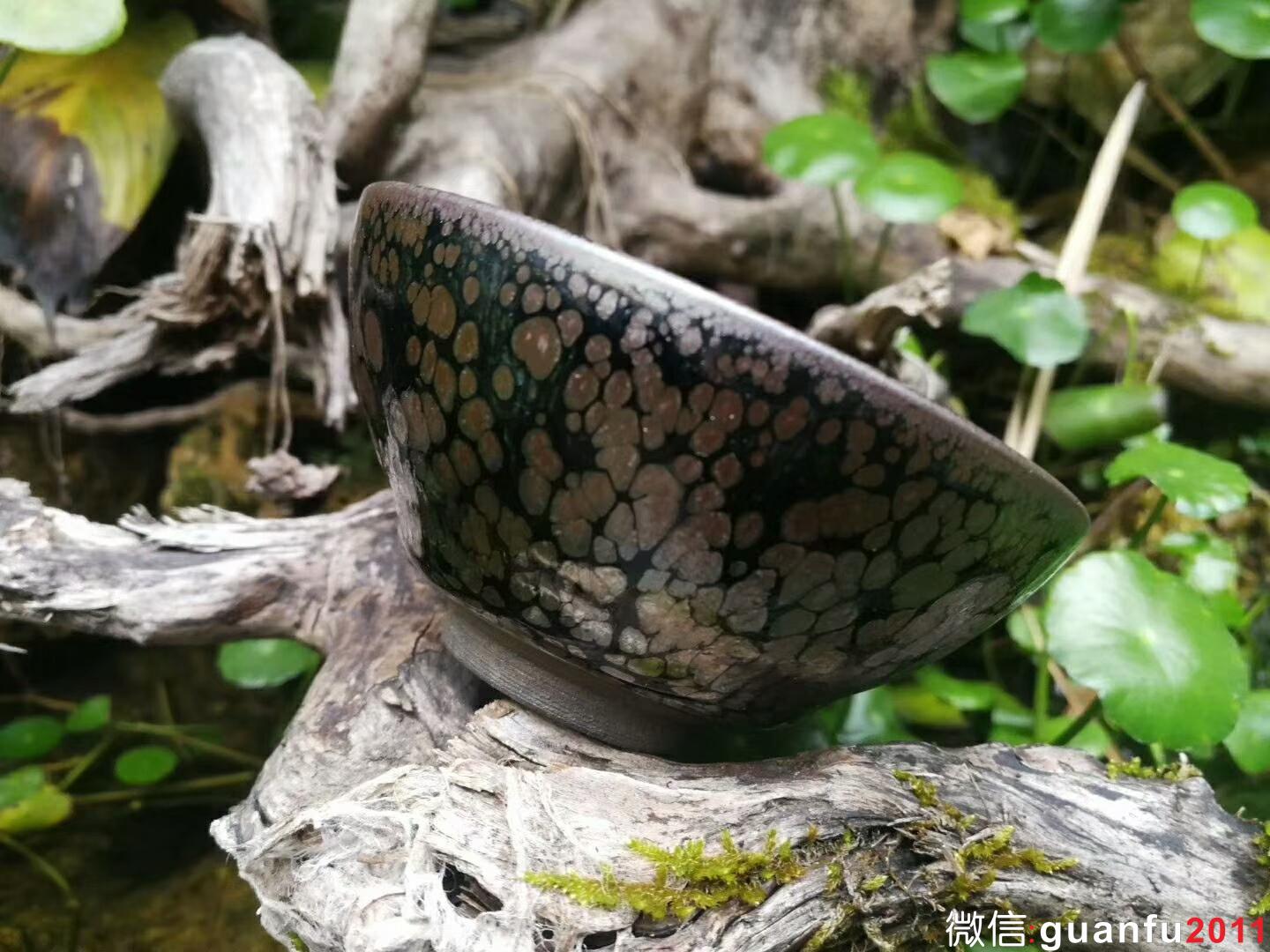 mmexport1518953623625