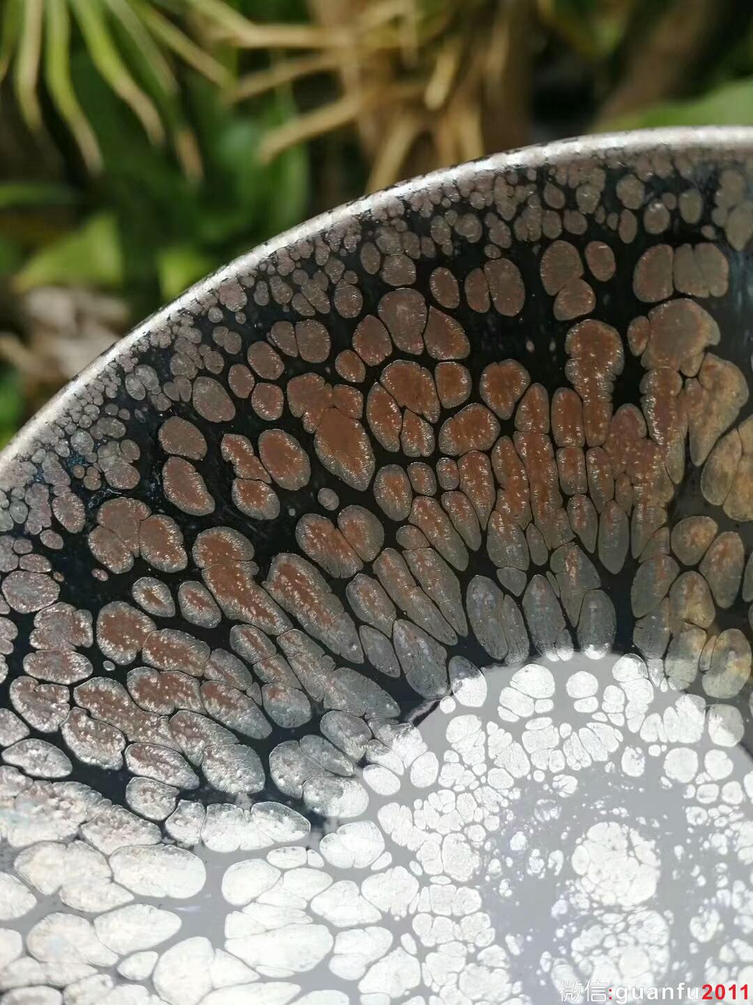 mmexport1518953625348