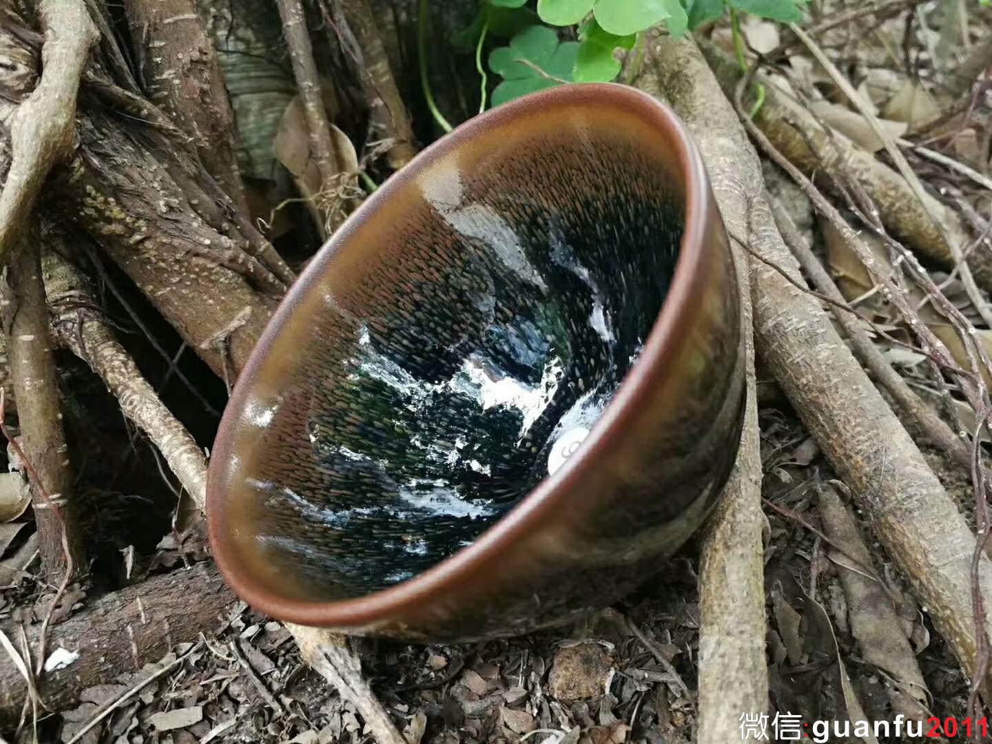 mmexport1518954501763