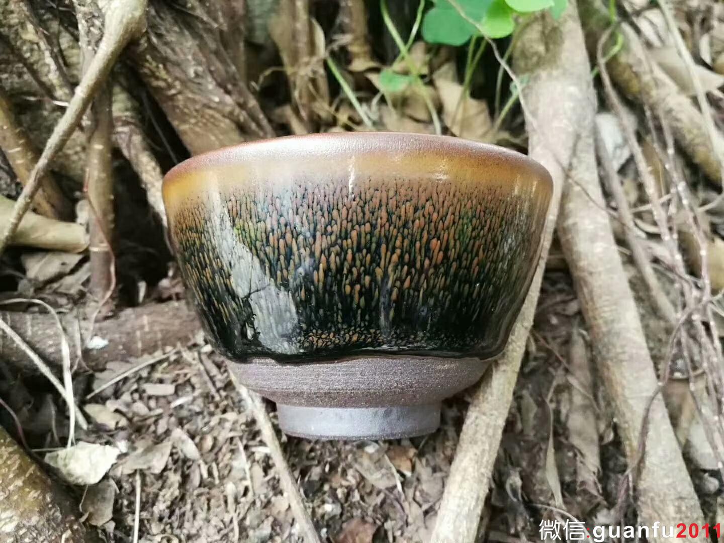 mmexport1518954505732