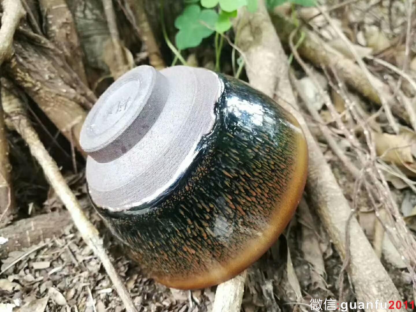 mmexport1518954520460