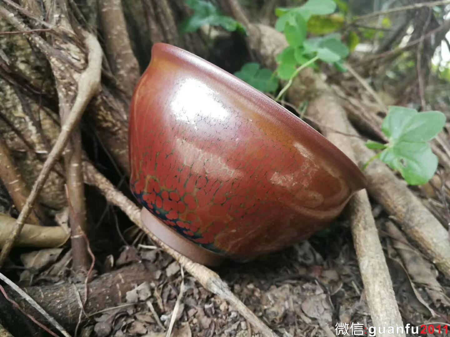 mmexport1518954687441