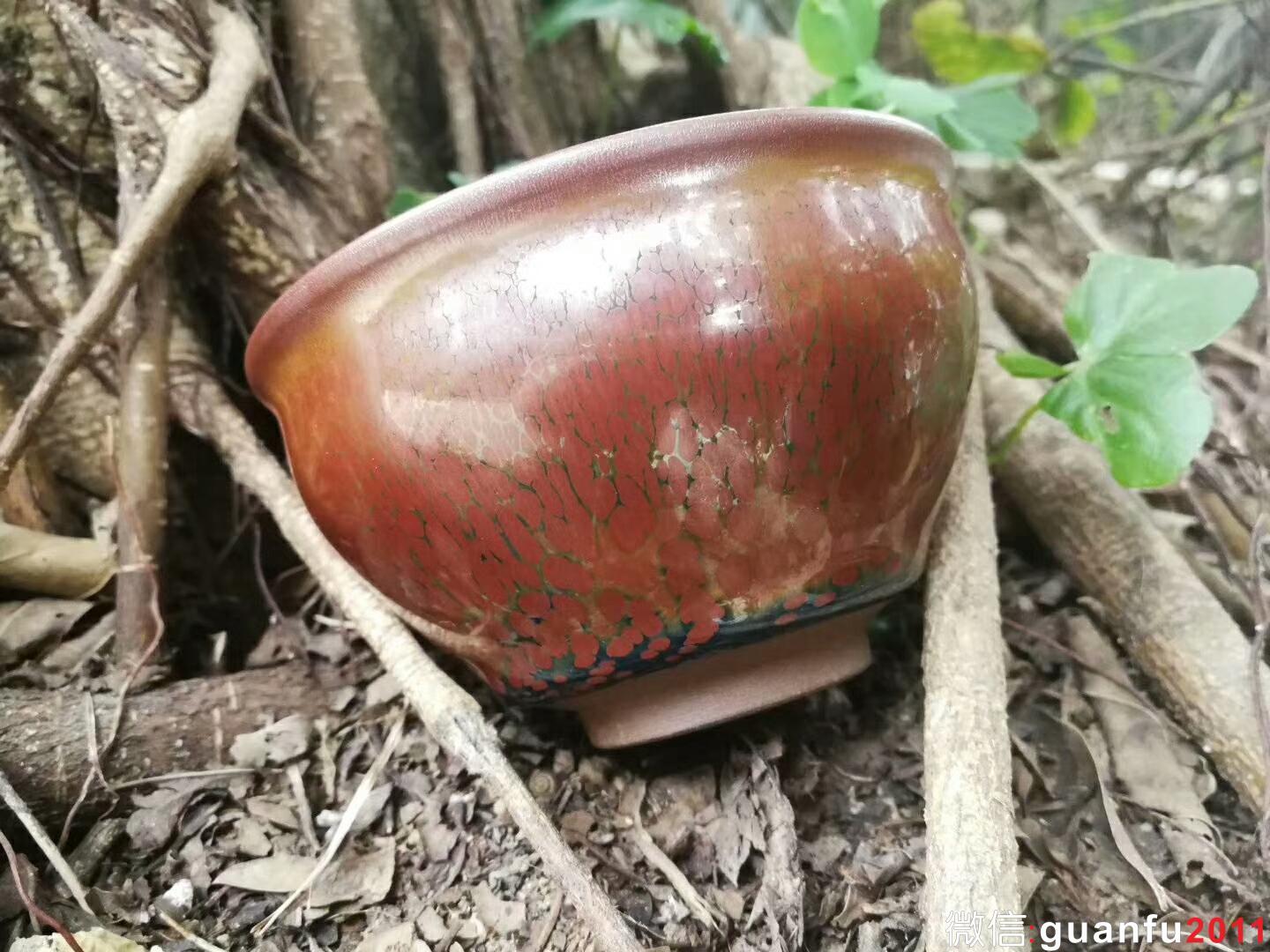 mmexport1518954691342