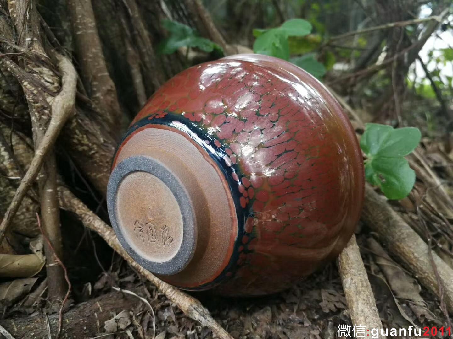 mmexport1518954696316