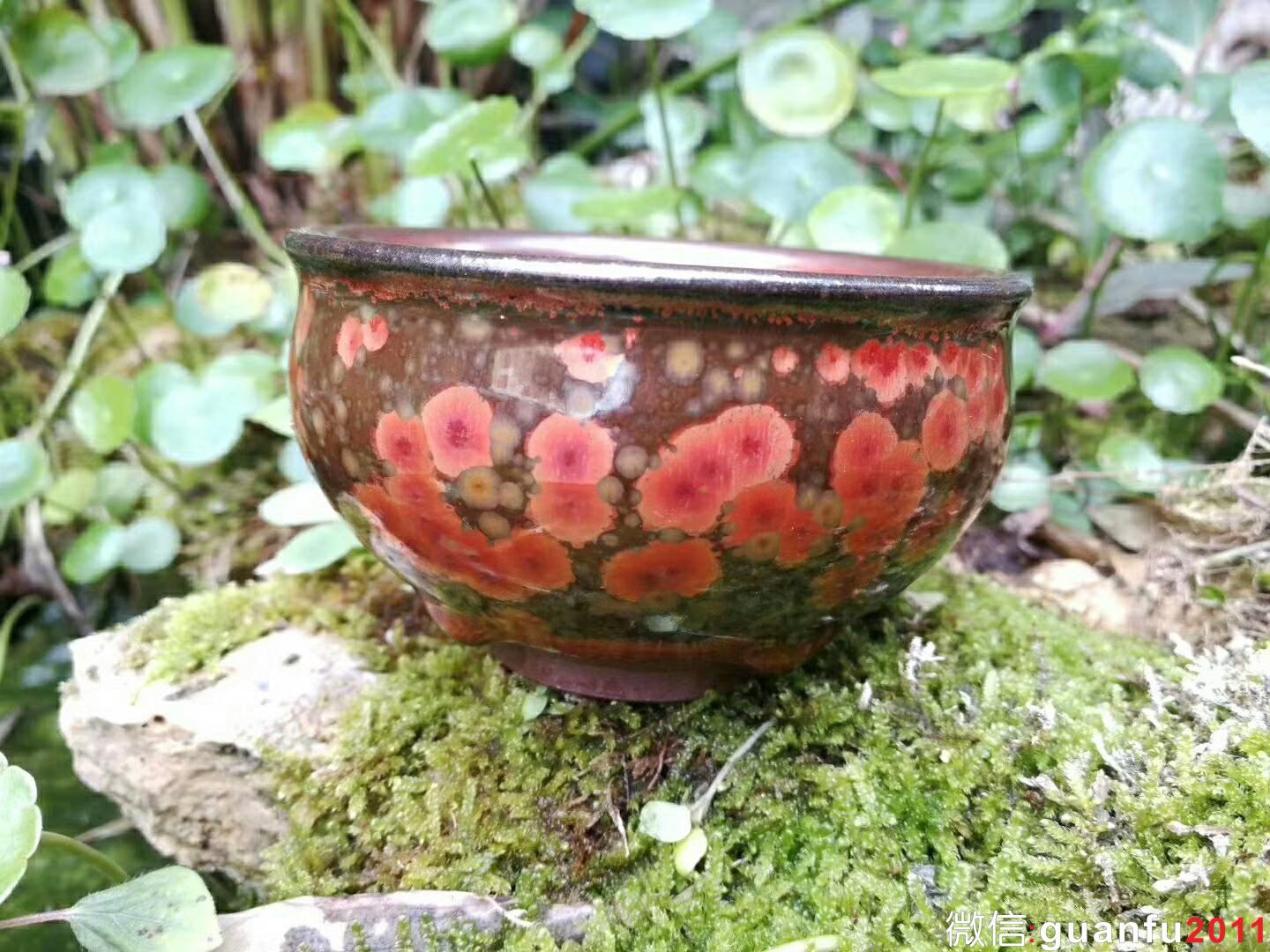 mmexport1518955521130