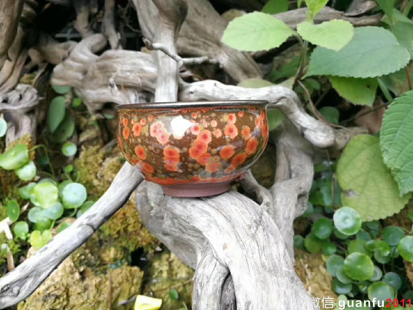 mmexport1518955526480