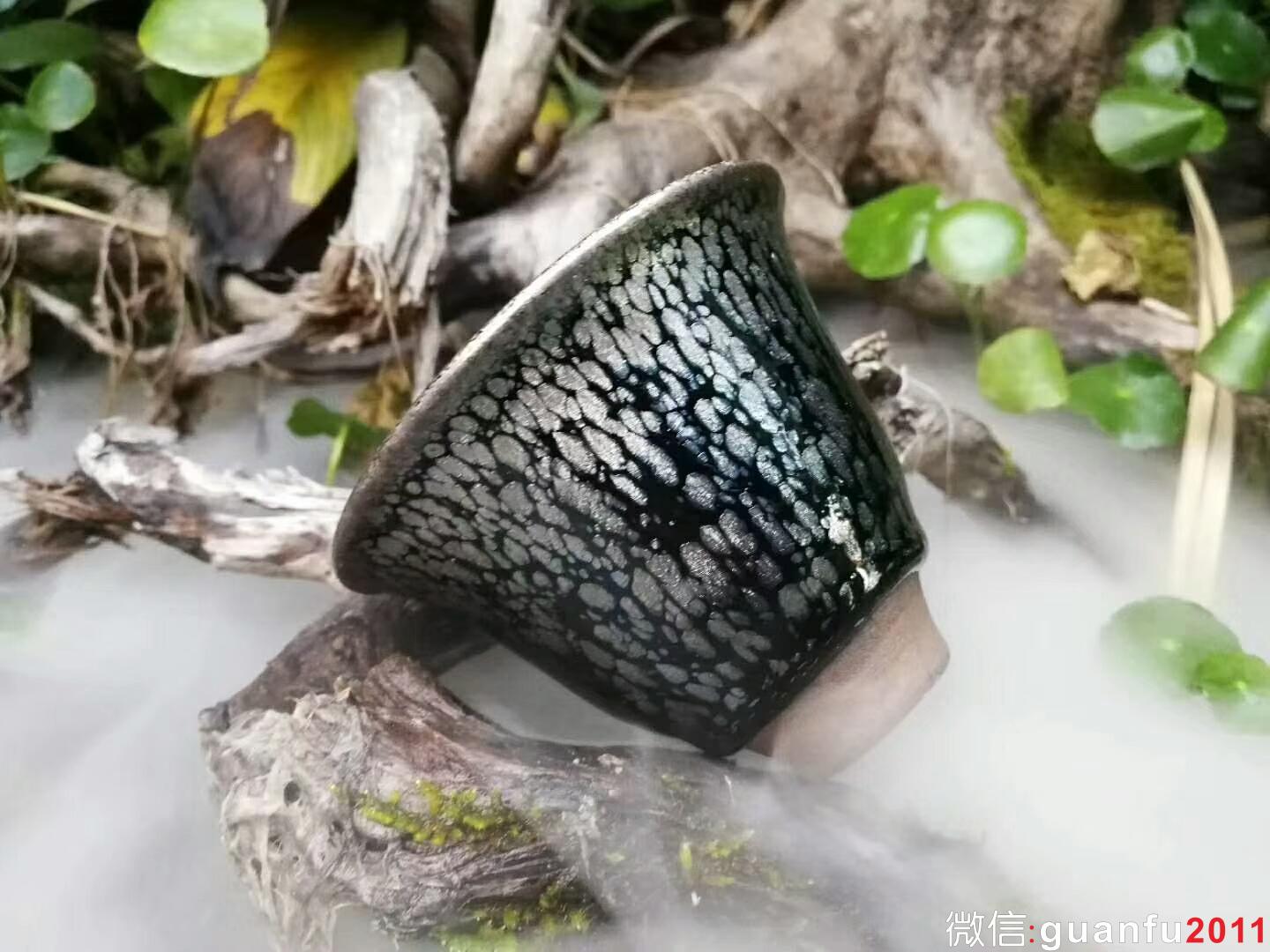 mmexport1518955669790