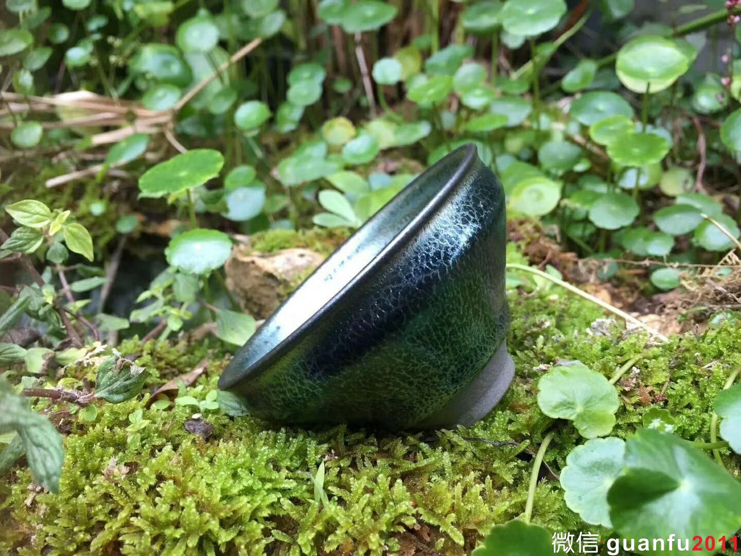 mmexport1518960790176