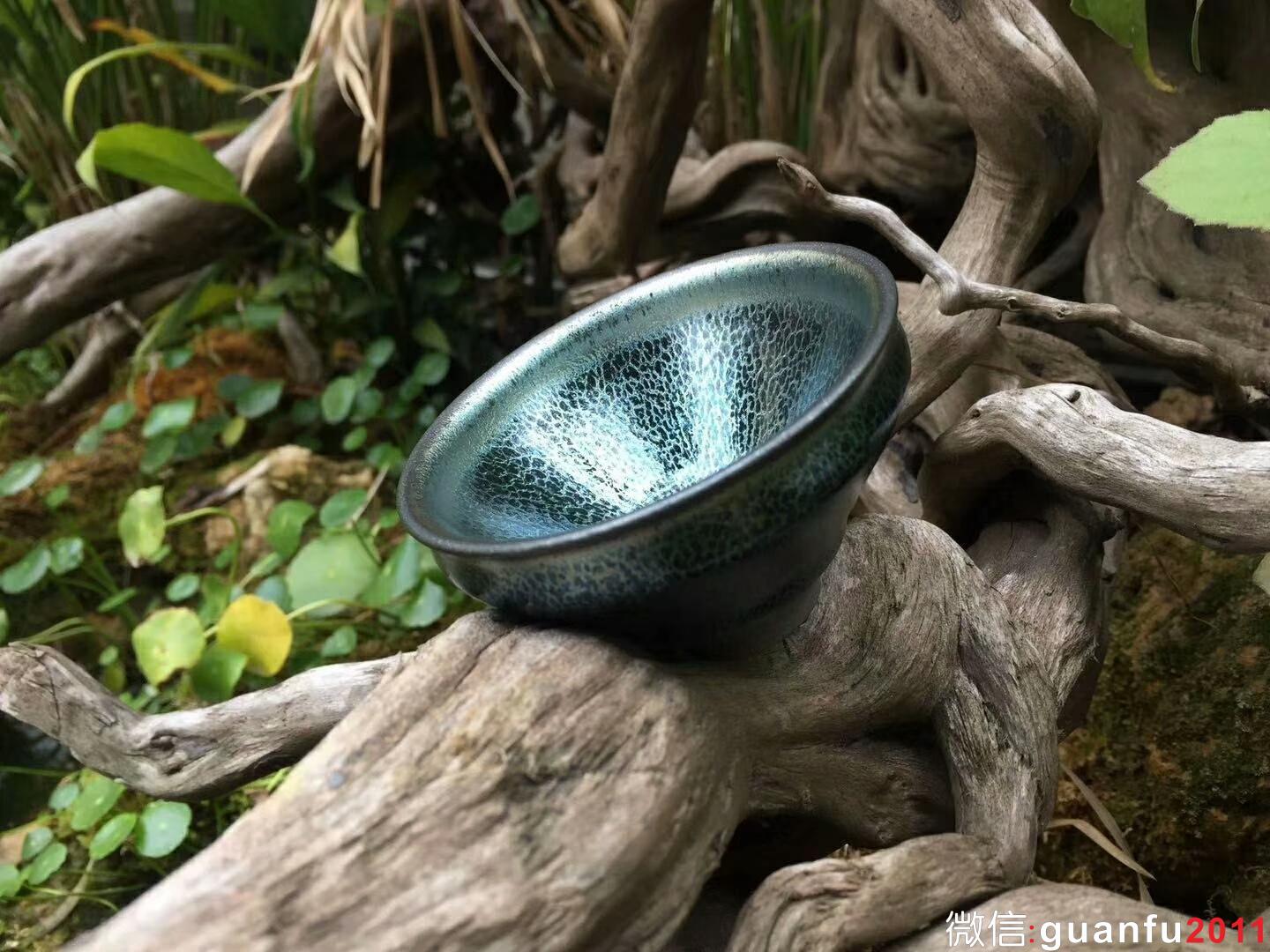 mmexport1518960795205