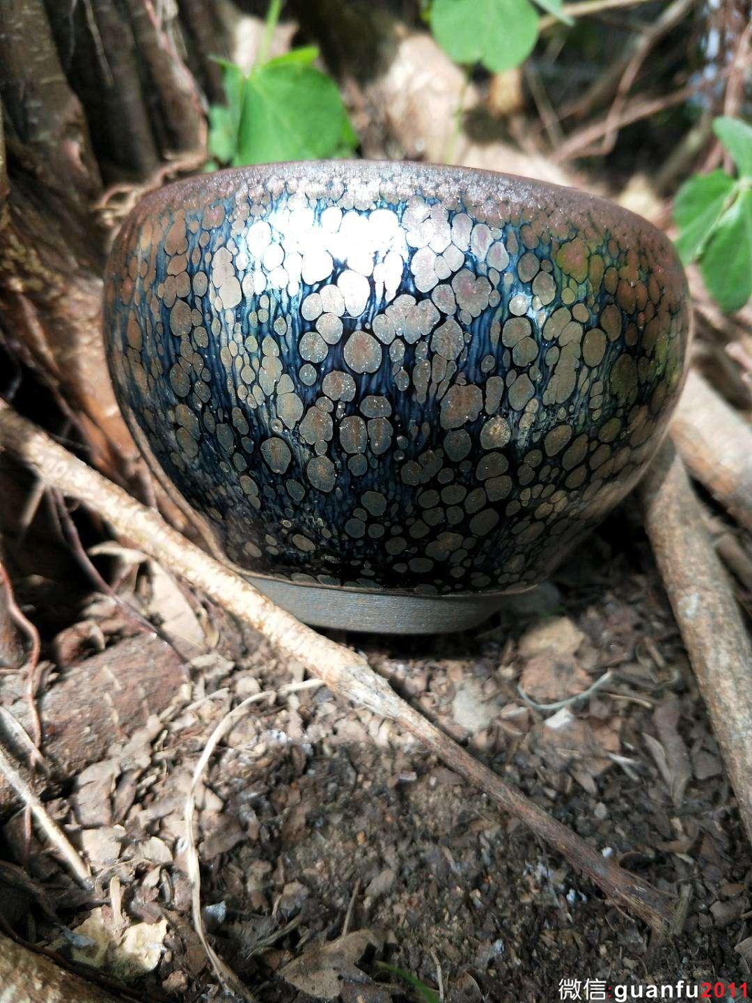 mmexport1519125817913