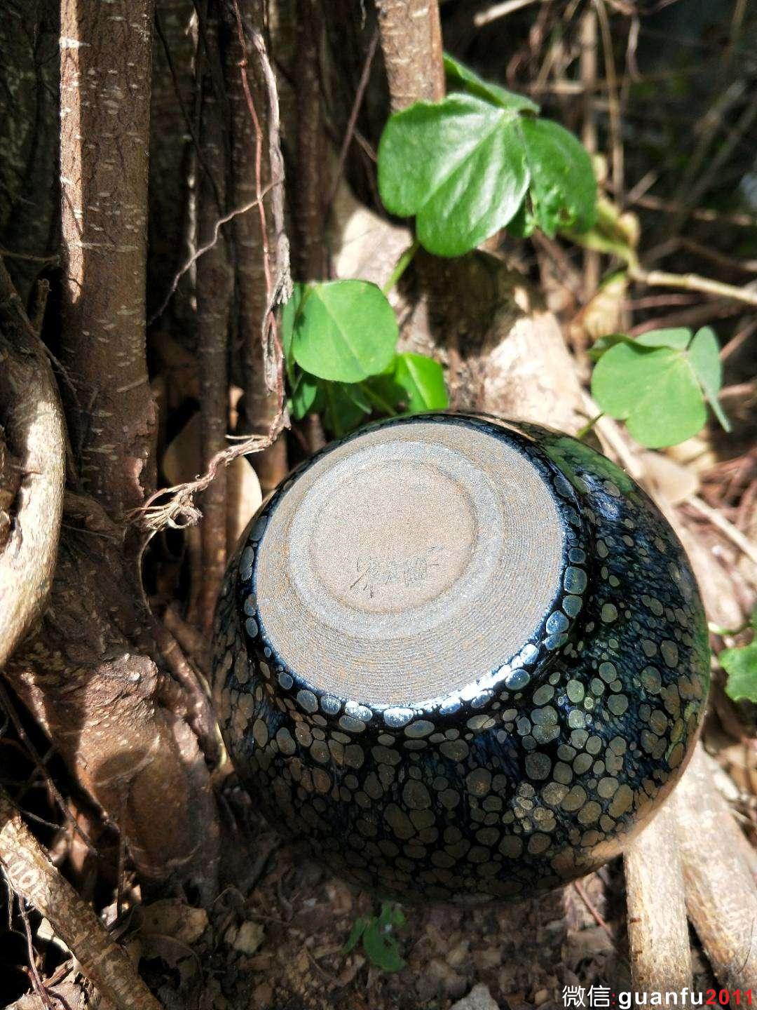 mmexport1519125819621