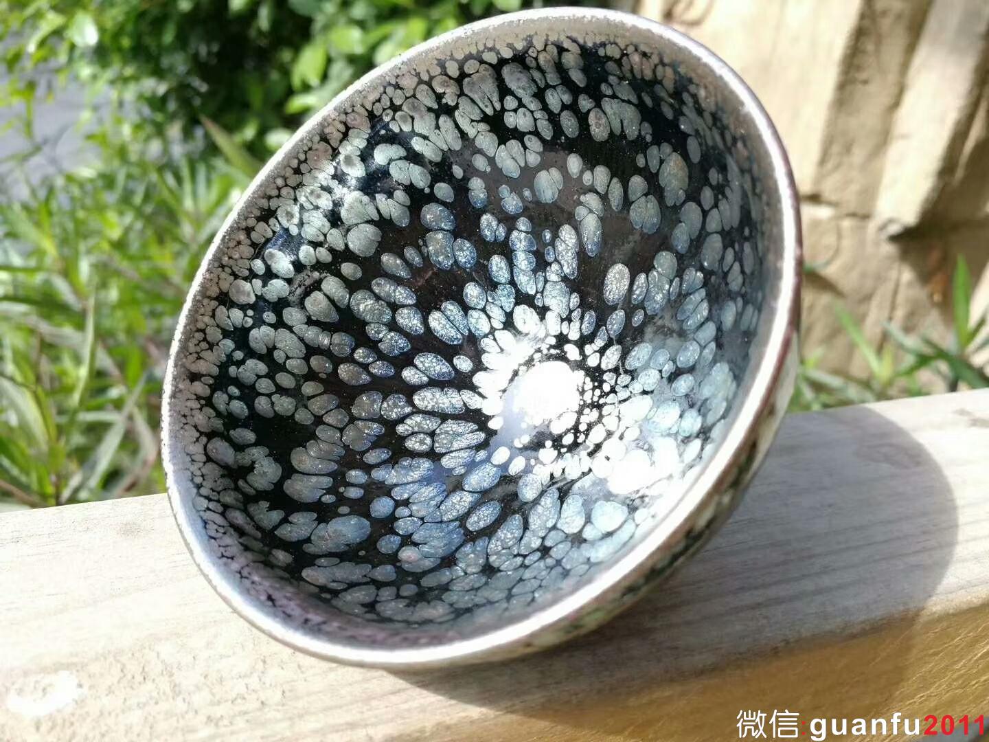 mmexport1519727289190