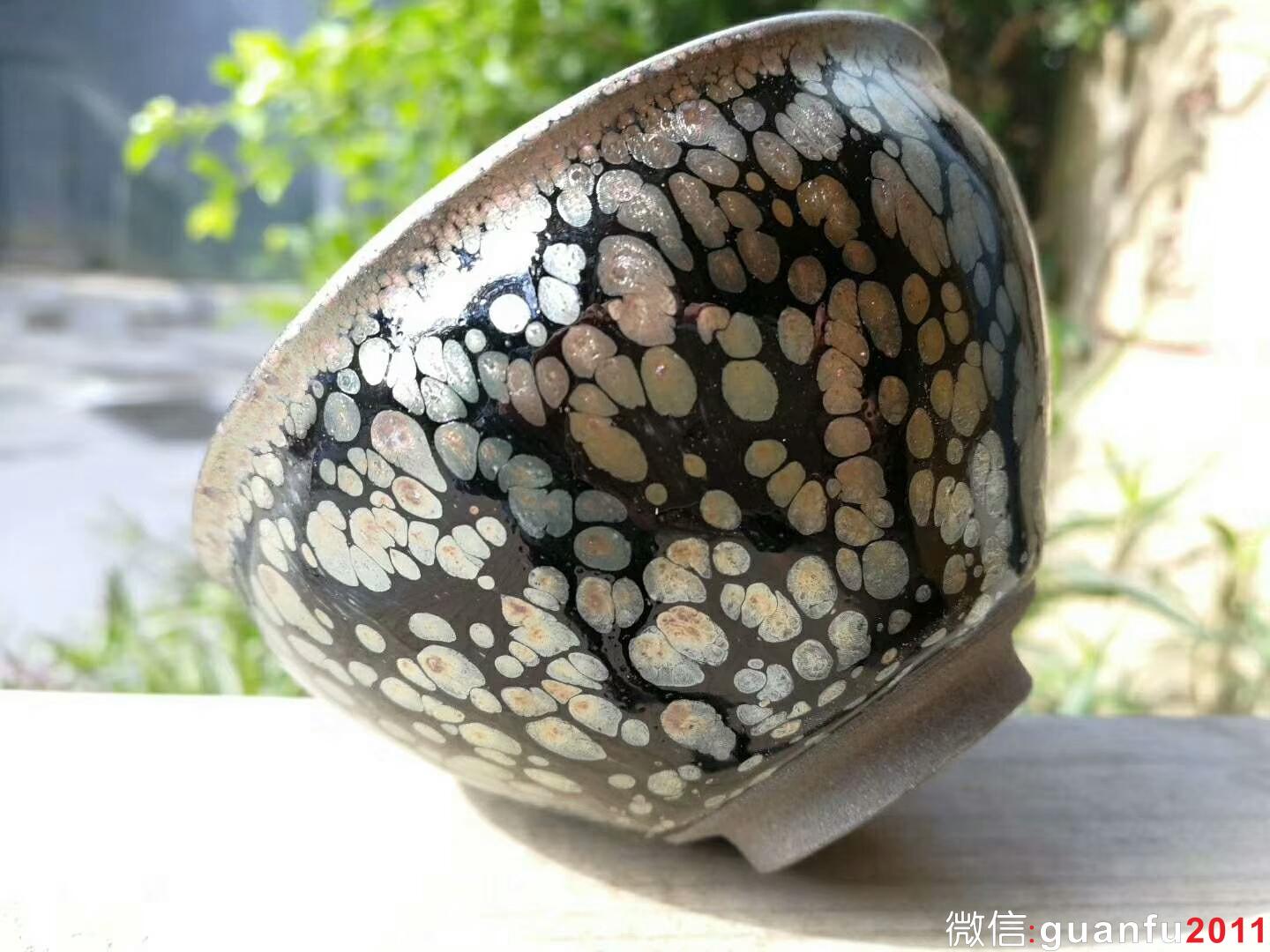 mmexport1519727296281