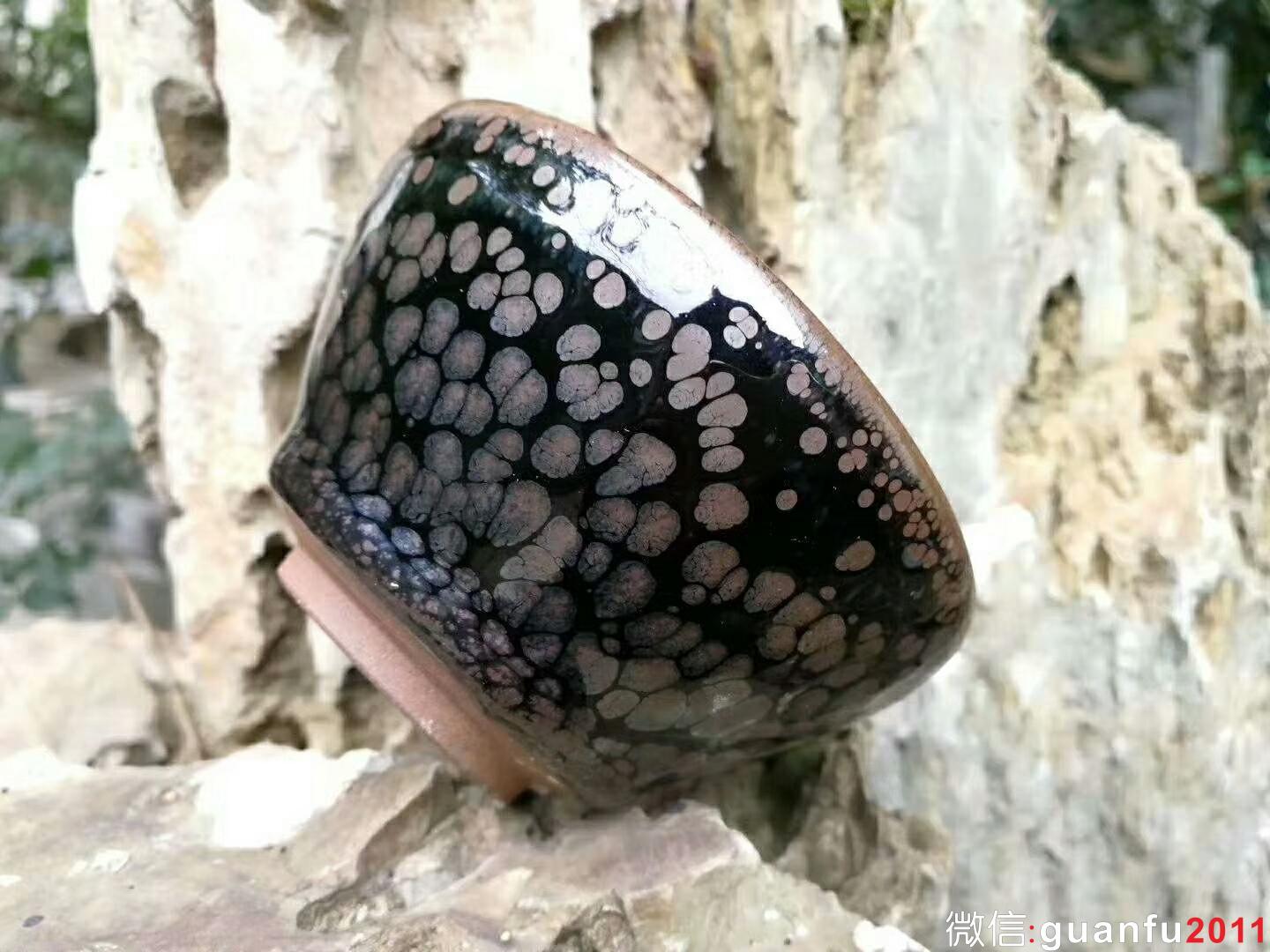 mmexport1519729475929