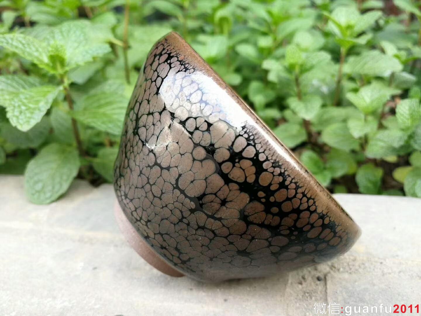 mmexport1520416499680