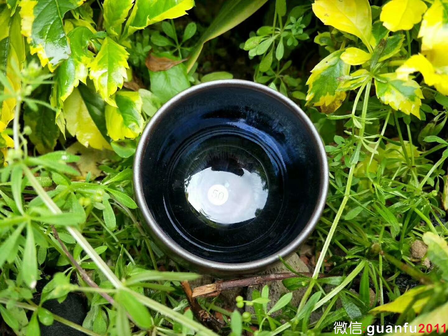 mmexport1521272872478